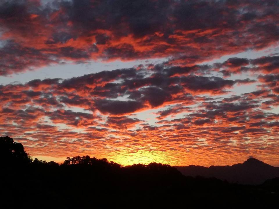 Reserva Natural Cerro Alto