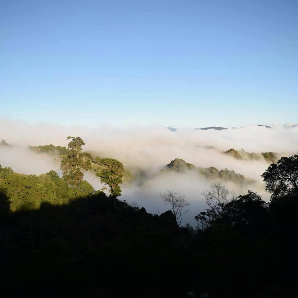 Reserva Natural Cerro Alto