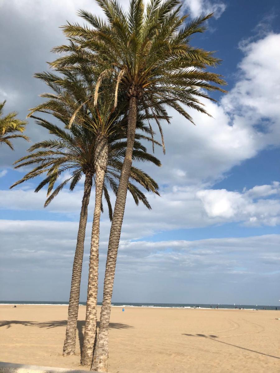 Beach-Arenas photo 3