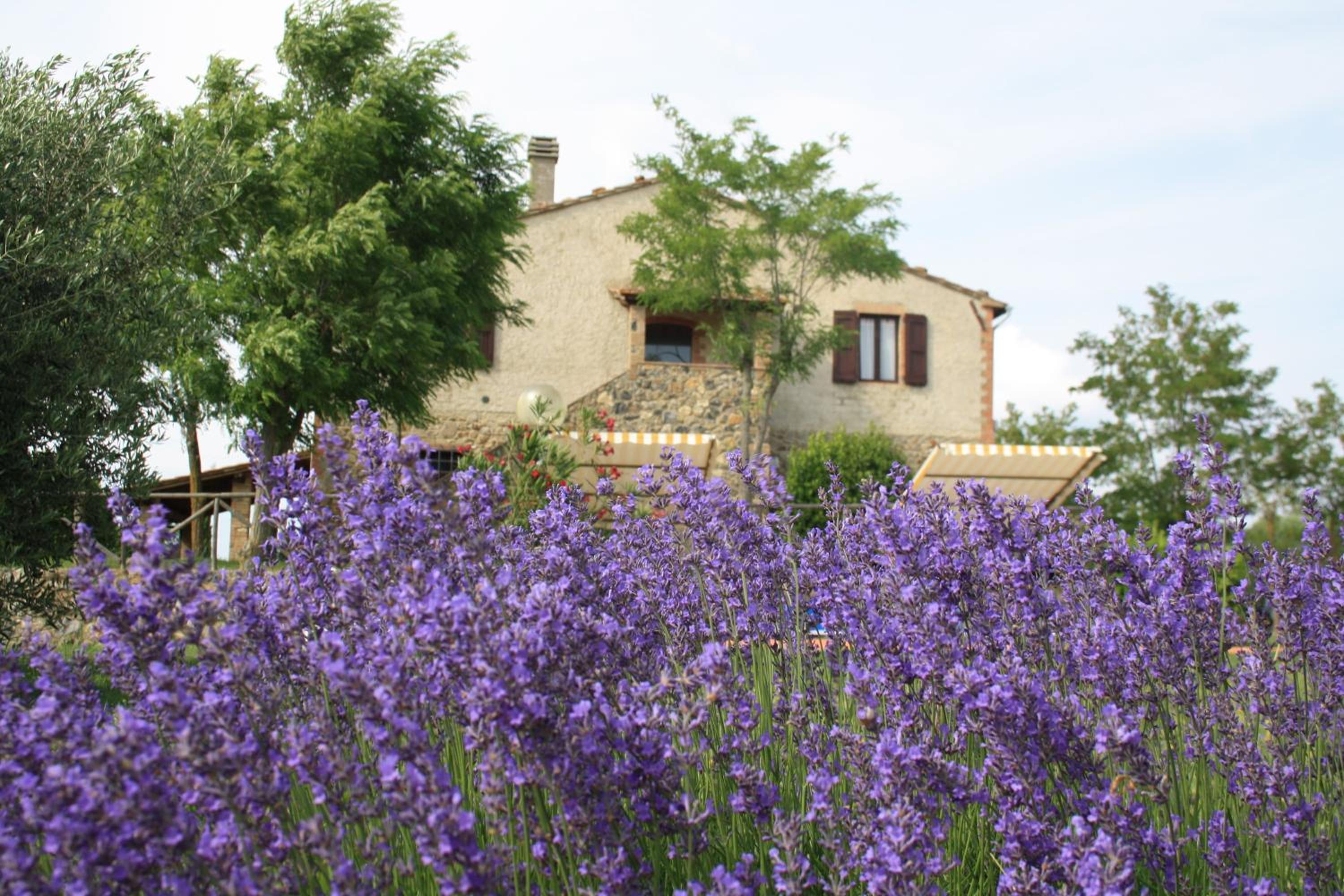Agriturismo Materno