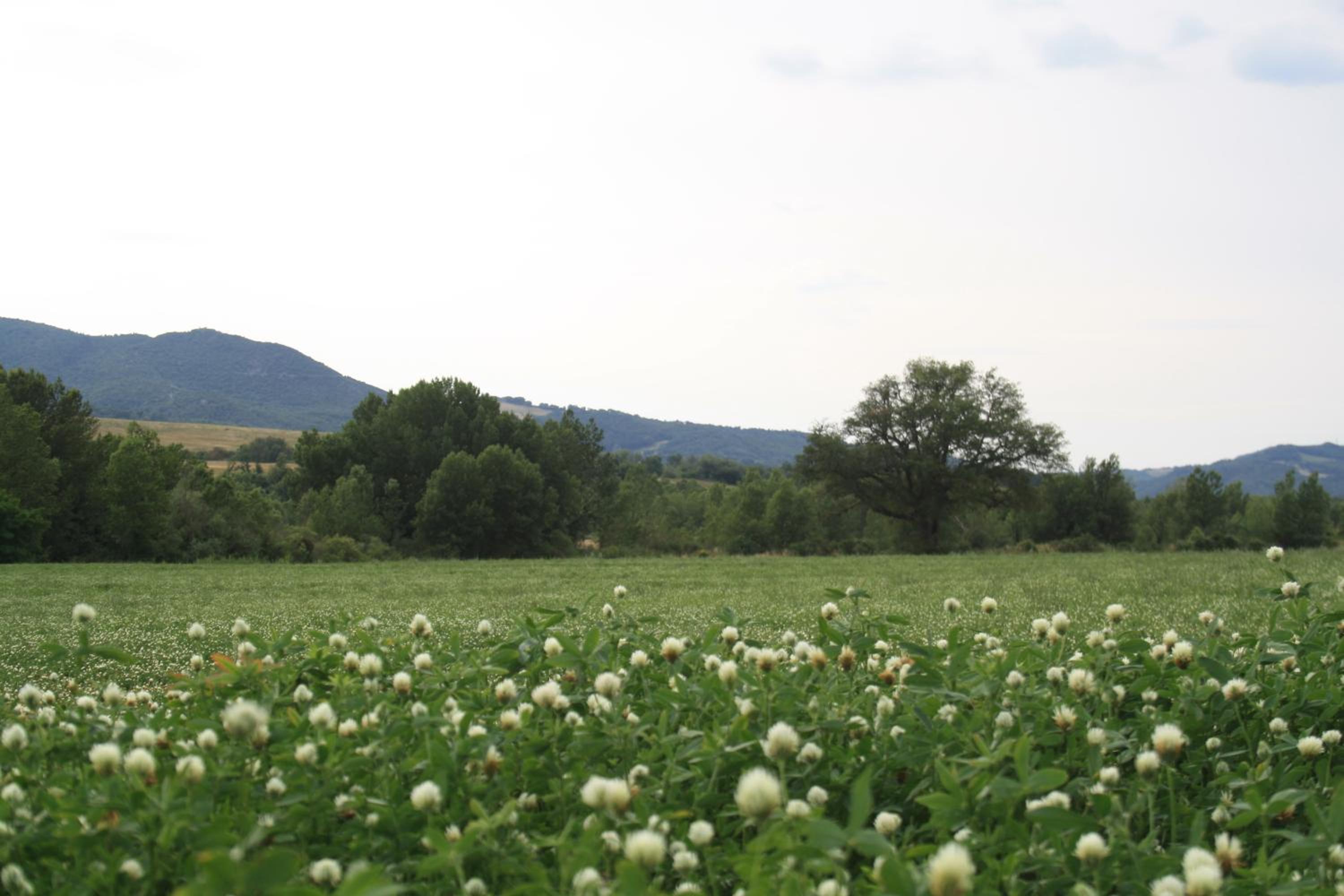 Agriturismo Materno