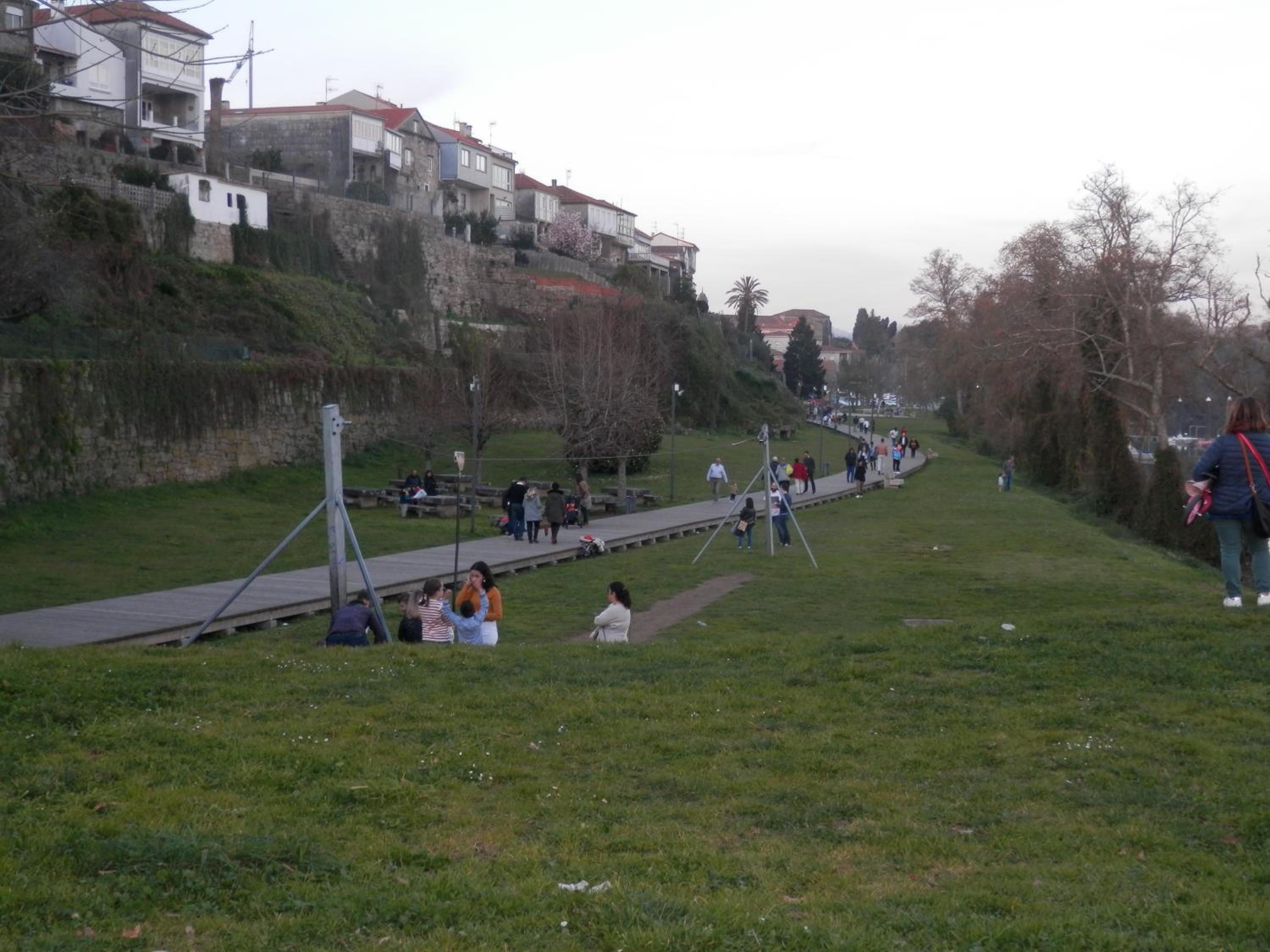 Photo 51