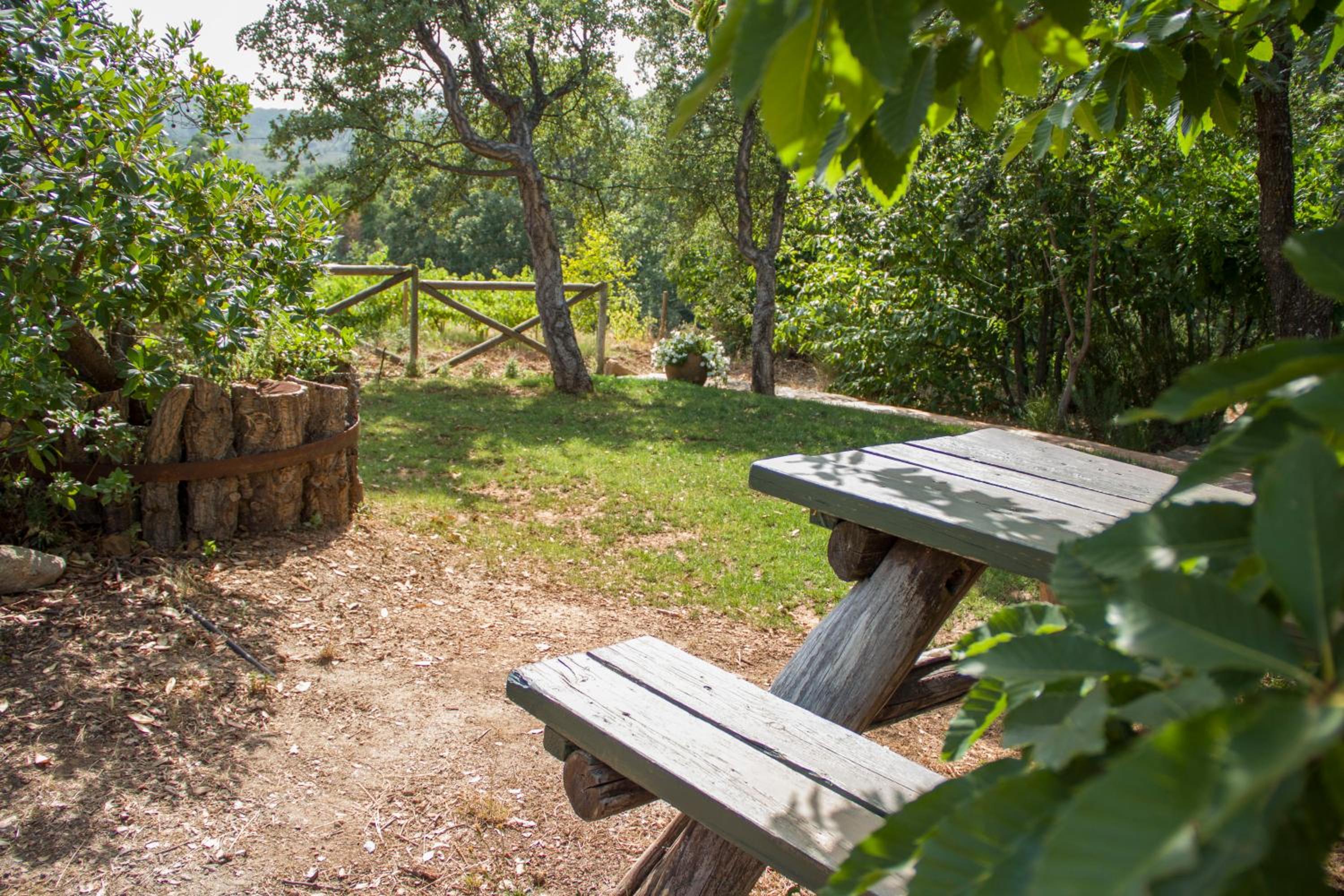 La Simona Casa Rural view 2