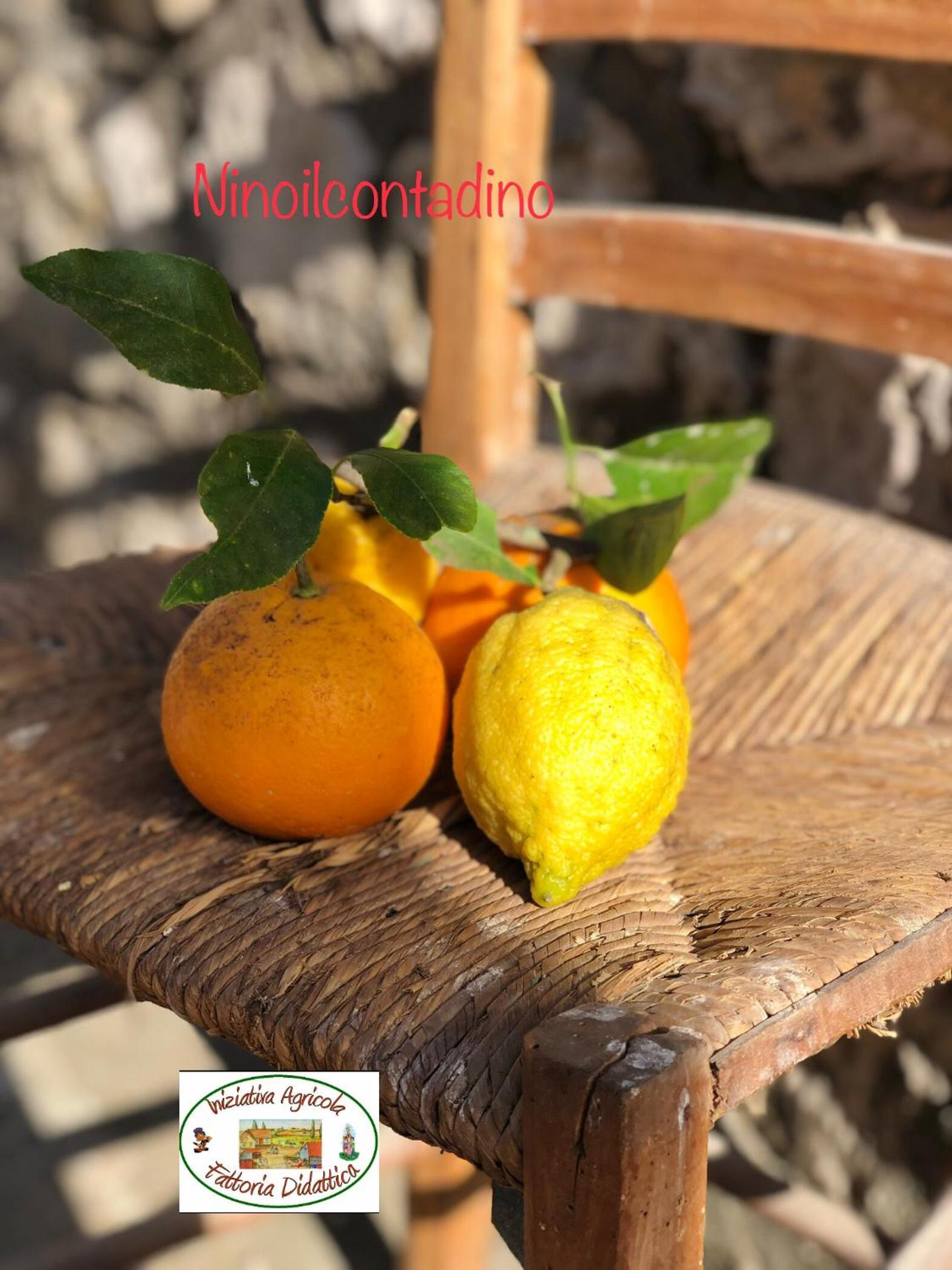 Decri resort, photo 156