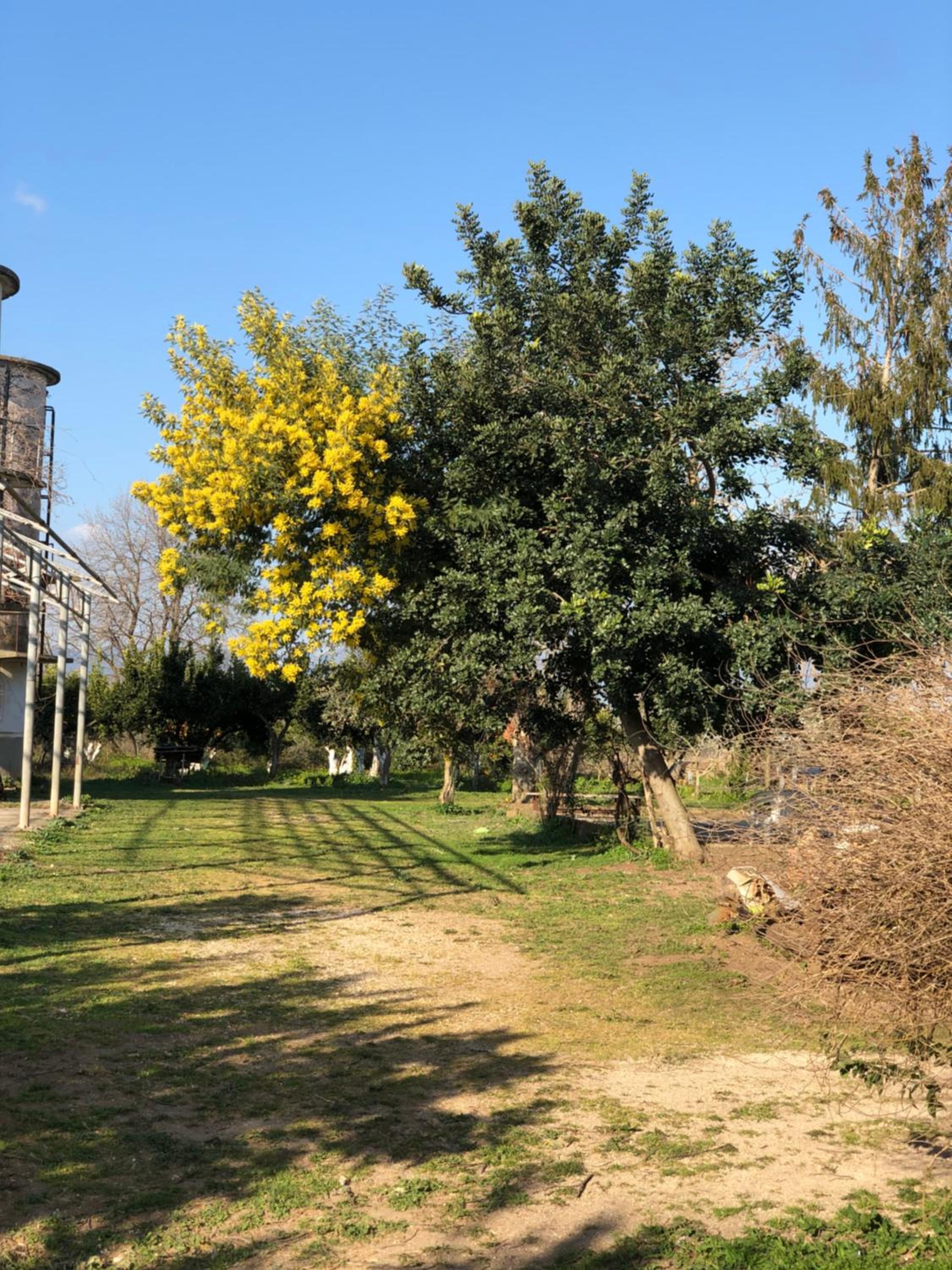 Decri resort, photo 114