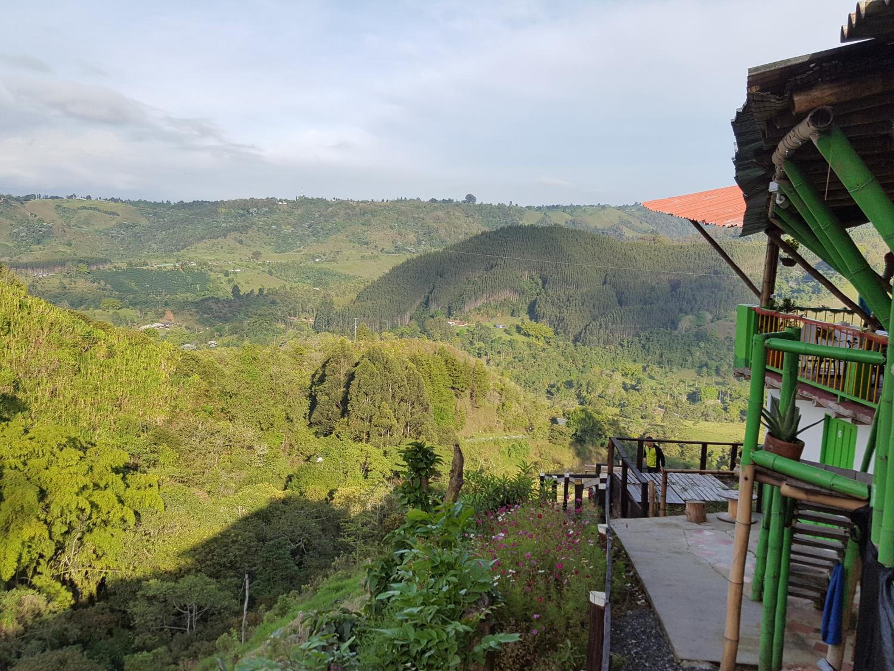 Hostal y Camping Los Girasoles