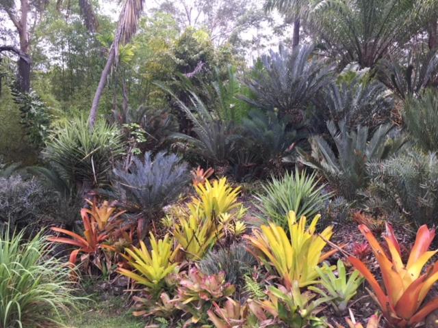 Ancient Gardens Guesthouse & Botanical Gardens view 5