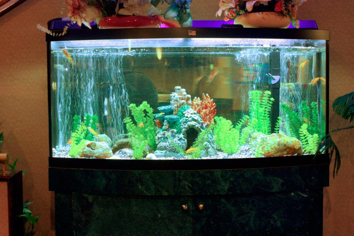 children's play area