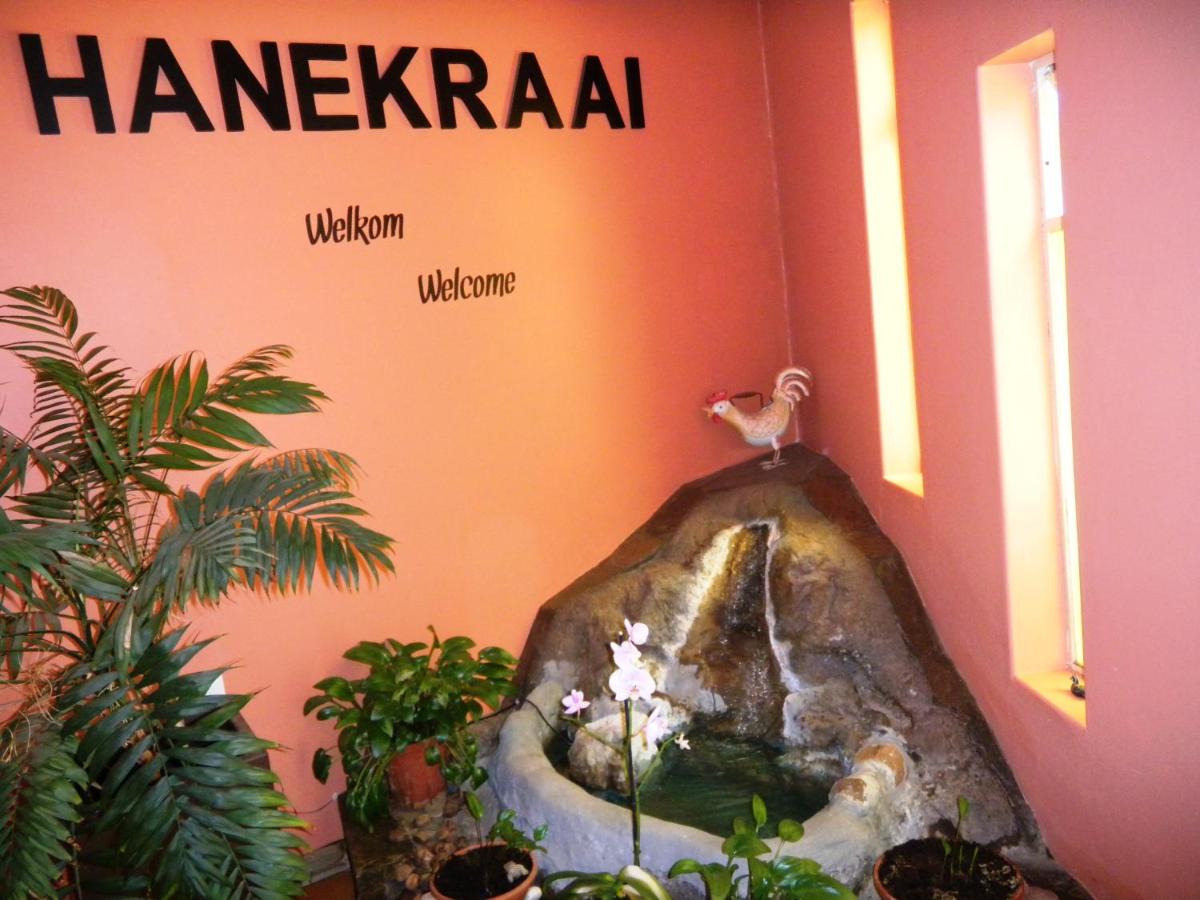 Hanekraai B&B view 2