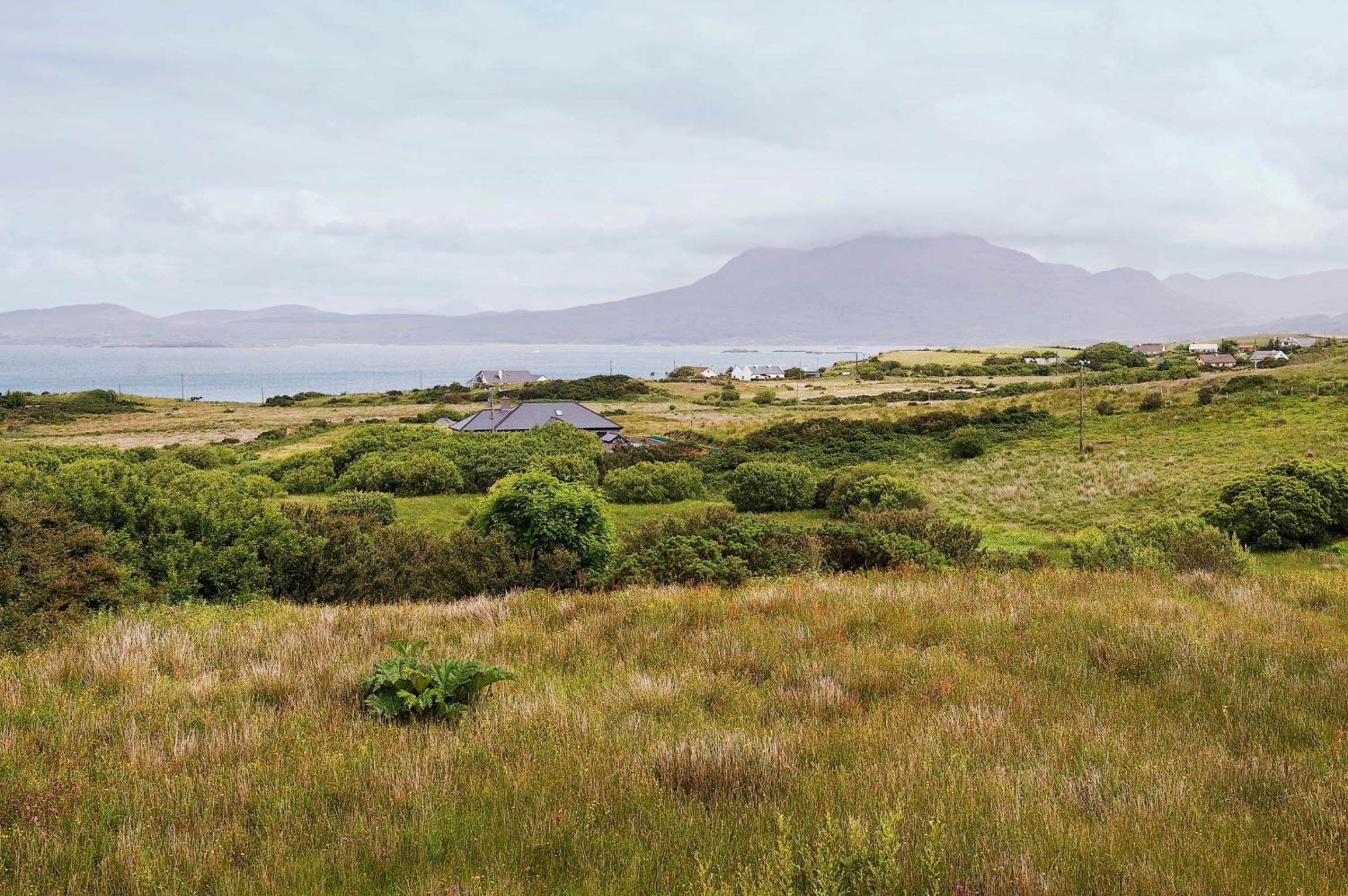 Castlehouse BB - Property Image 1