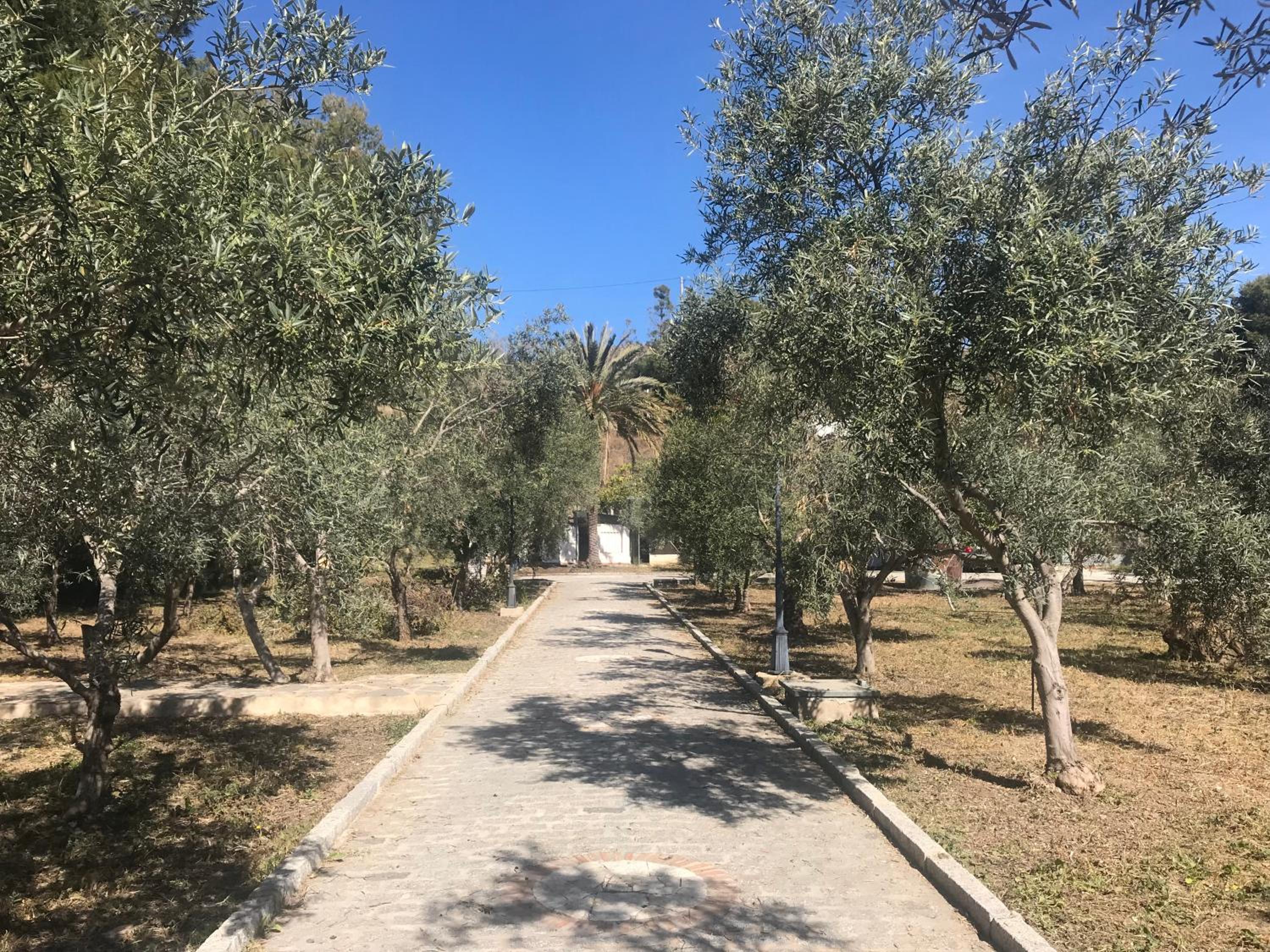 Alojamiento con Encanto en Málaga