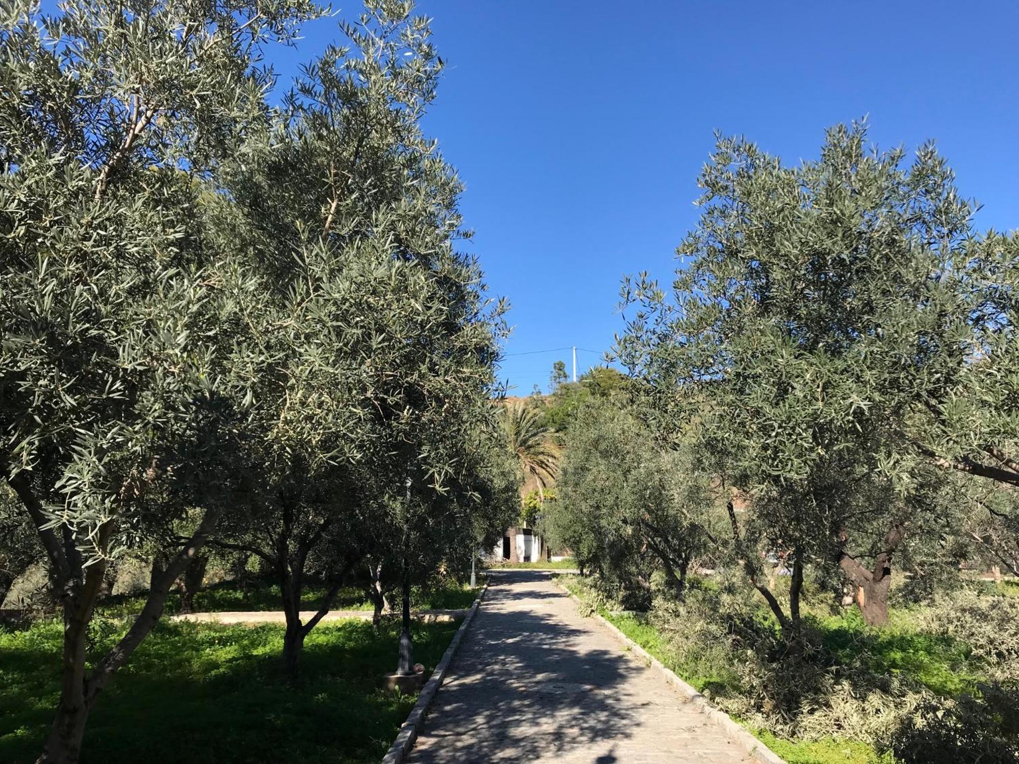 Alojamiento con Encanto en Málaga