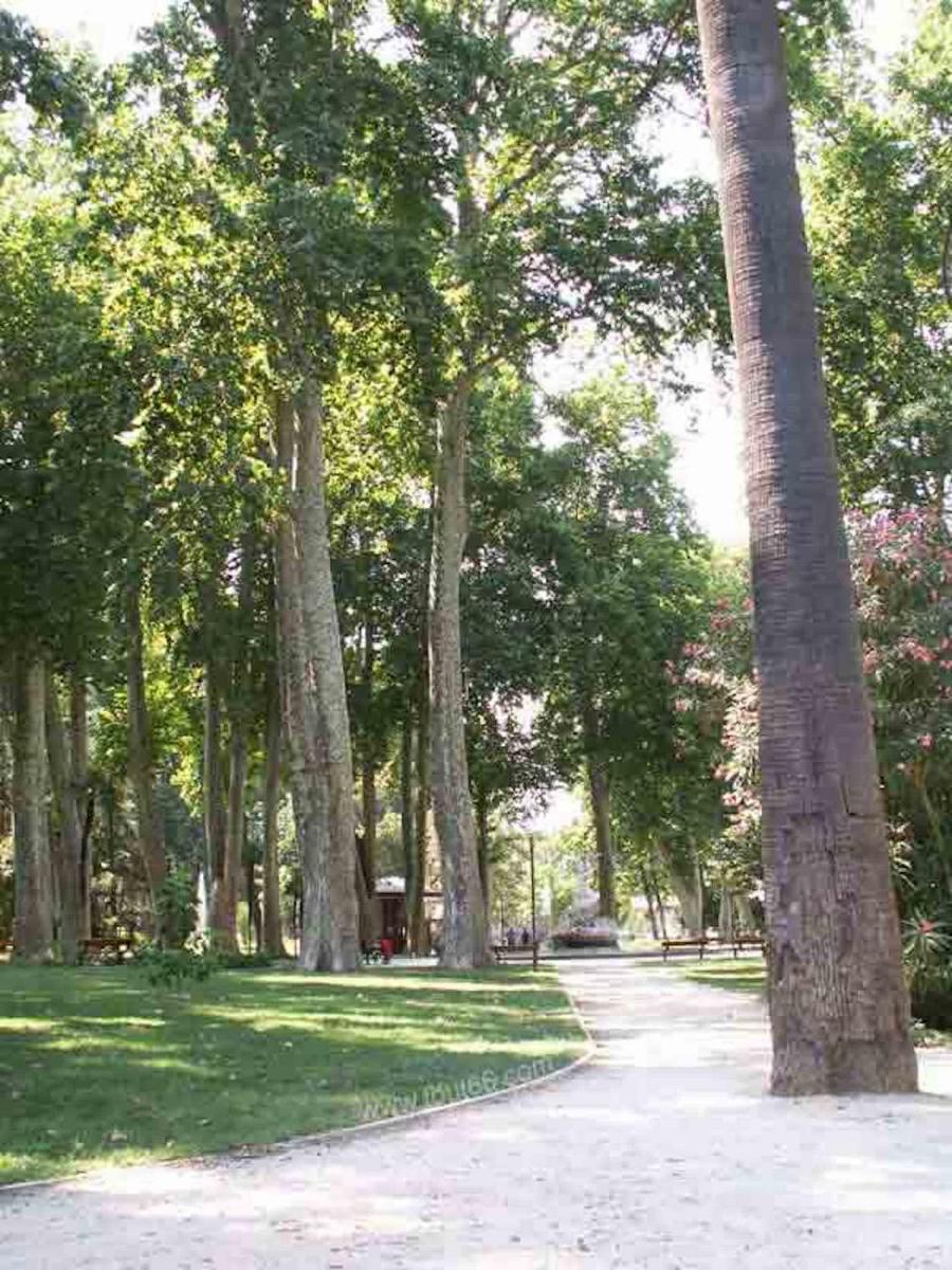 Photo 14