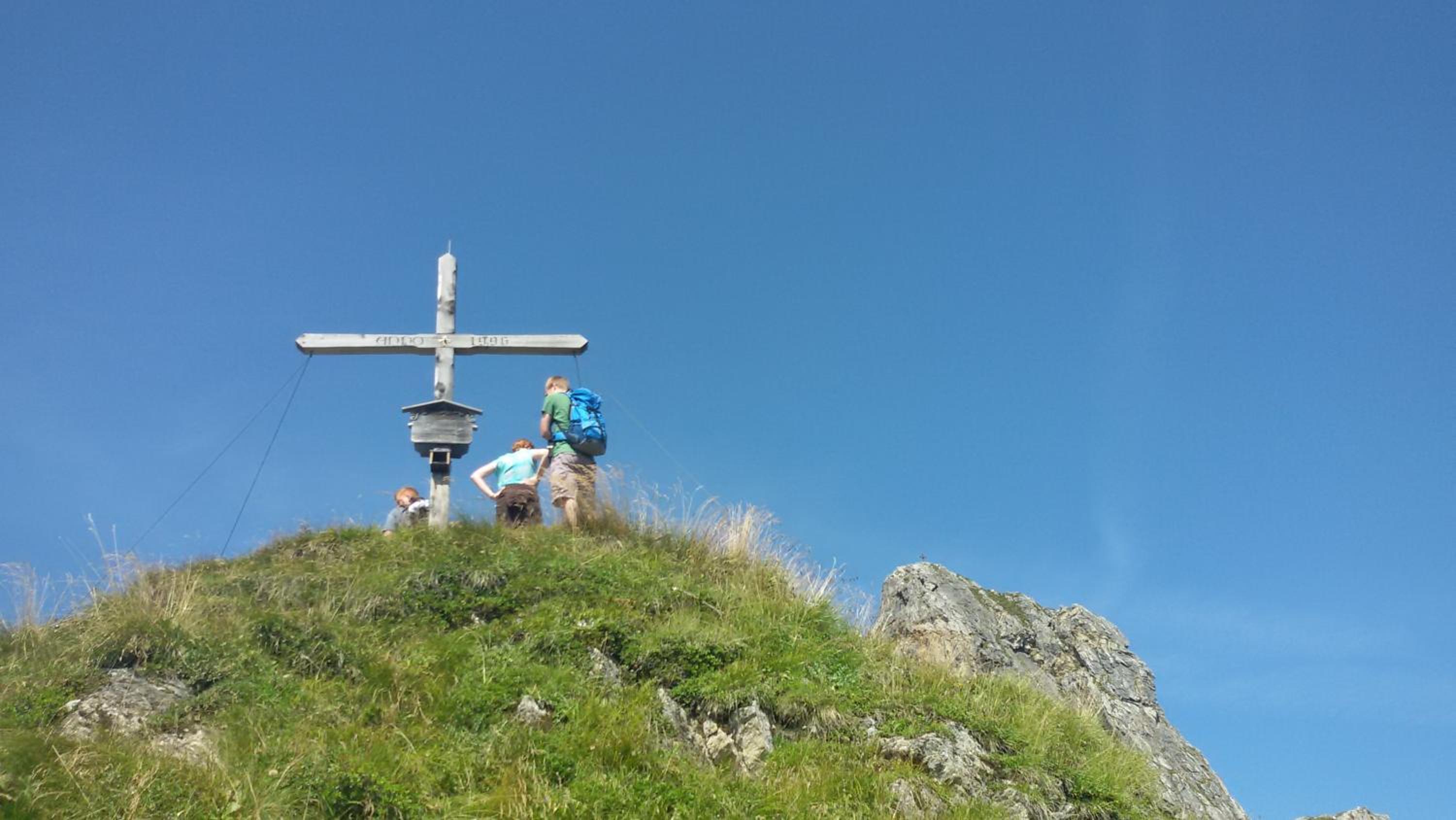 Molteraugut