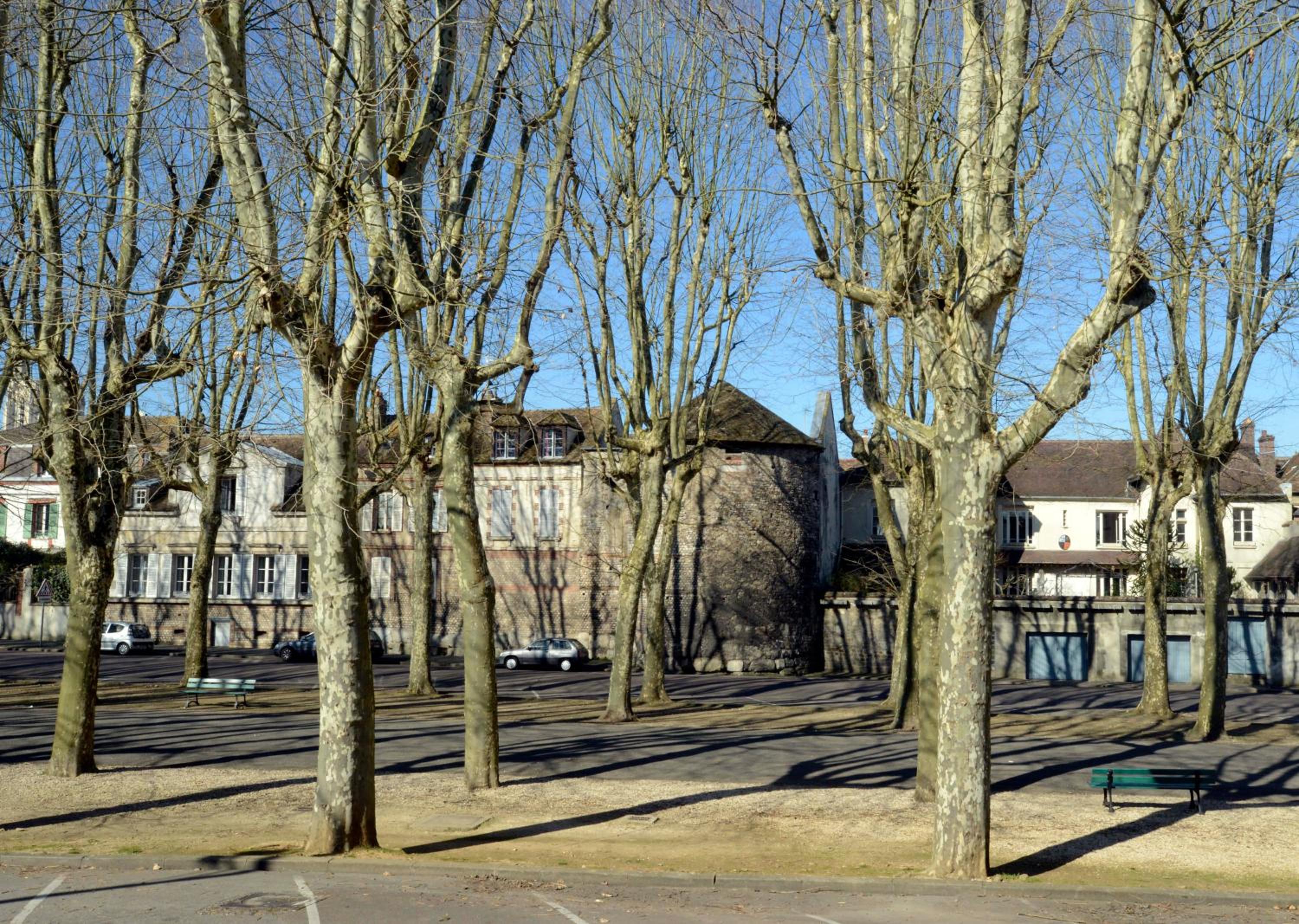 Photo 16