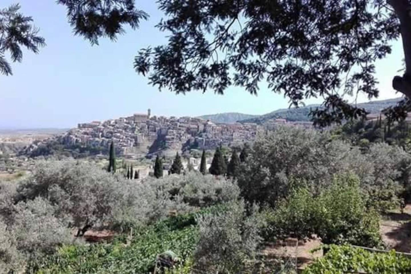 Slow holidays in Calabria tradizioni eno-gastonomia tra borgo e mare