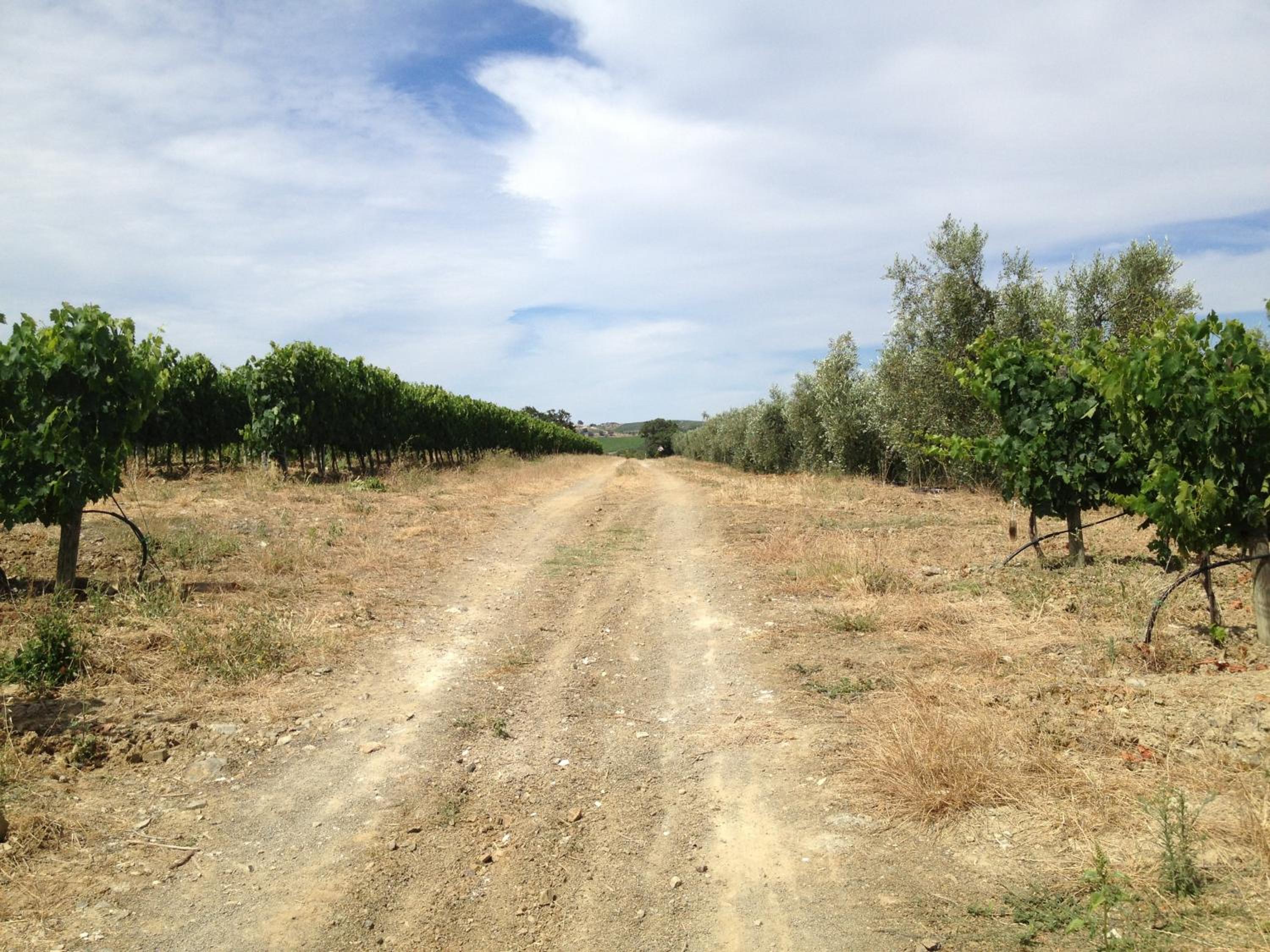 I Puntoni Agriturismo
