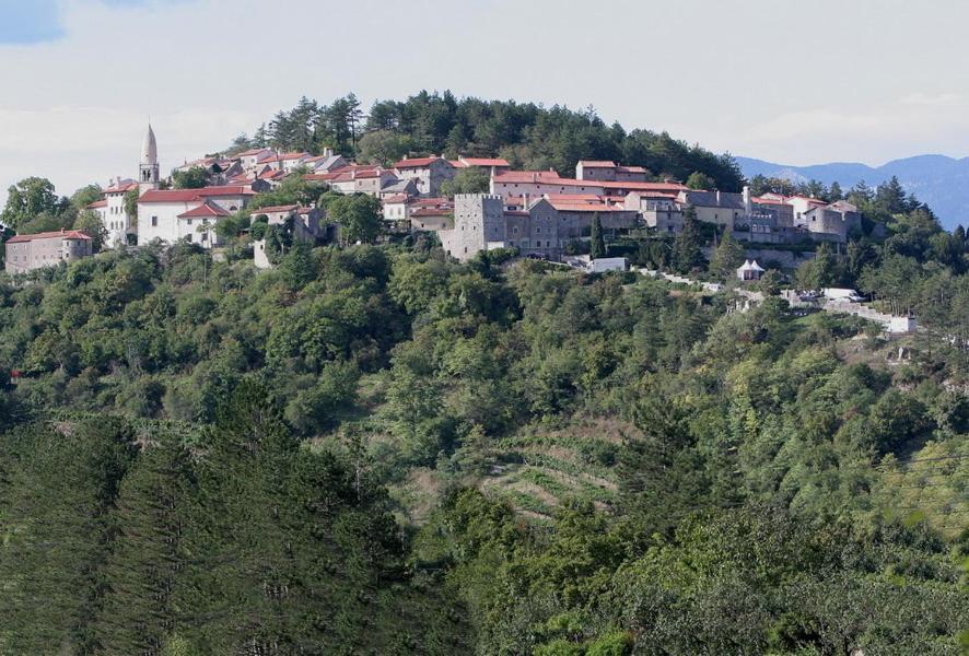 Hiša posebne Sorte view 3