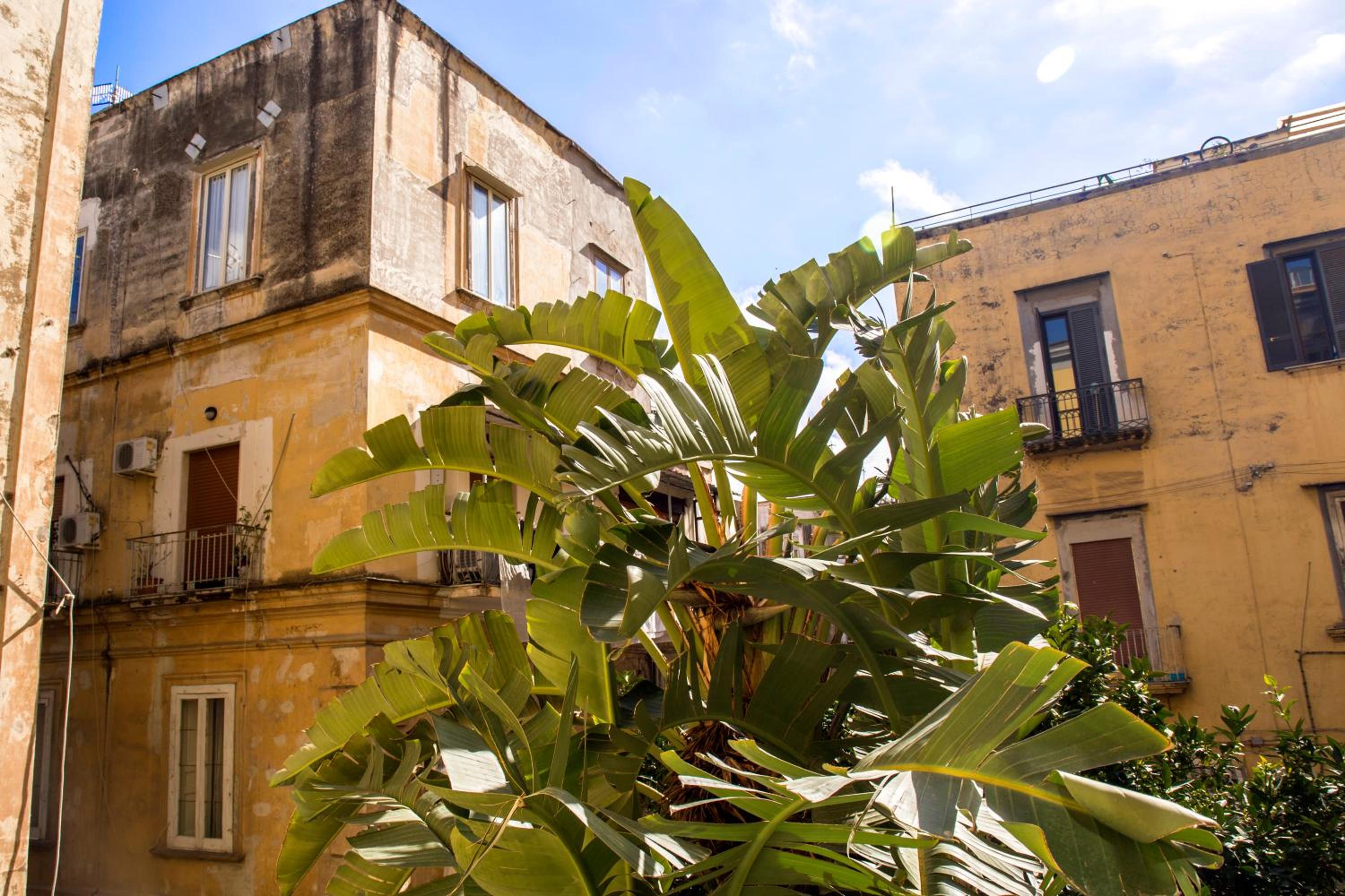 26 Urban Guest House