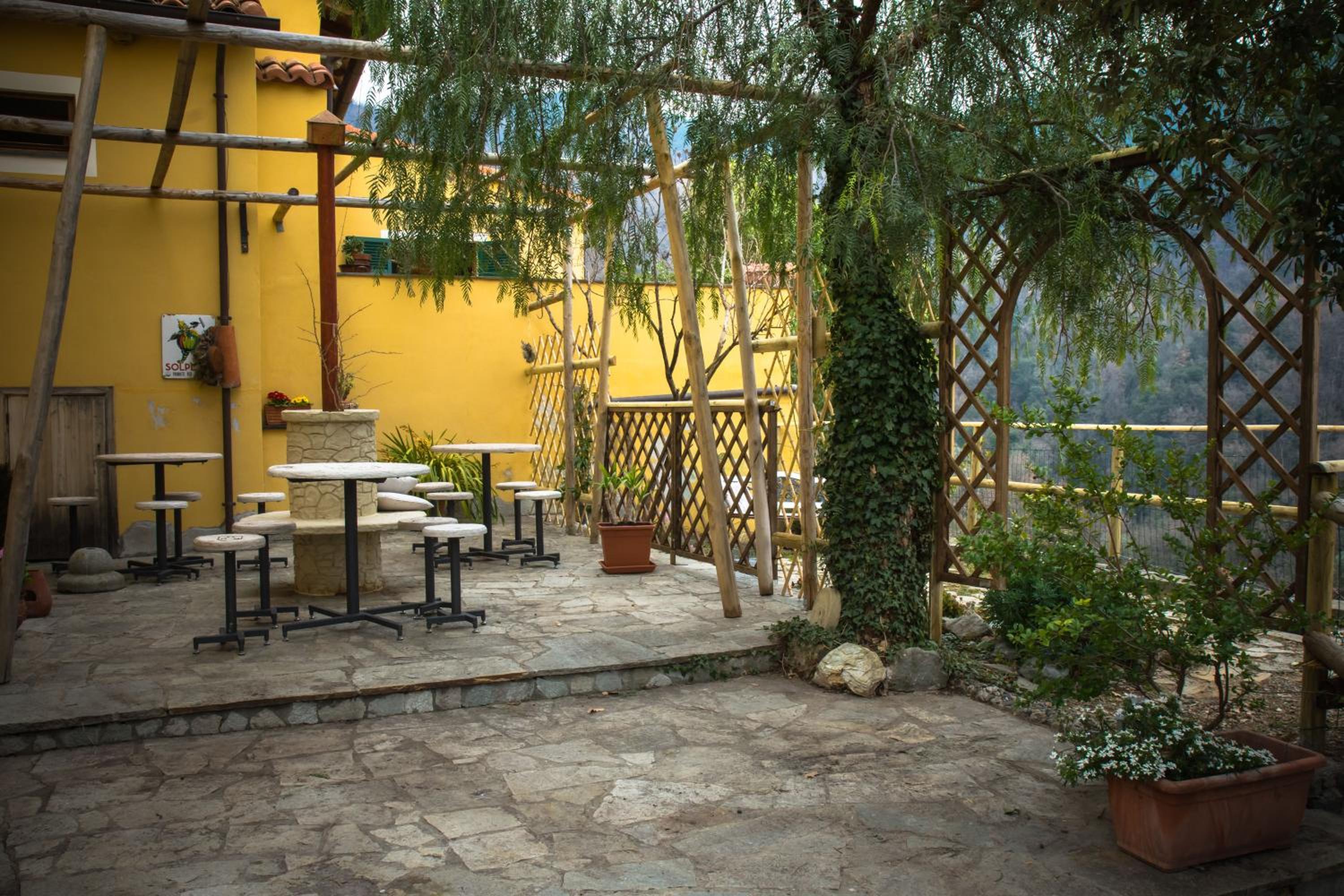 Photo 16