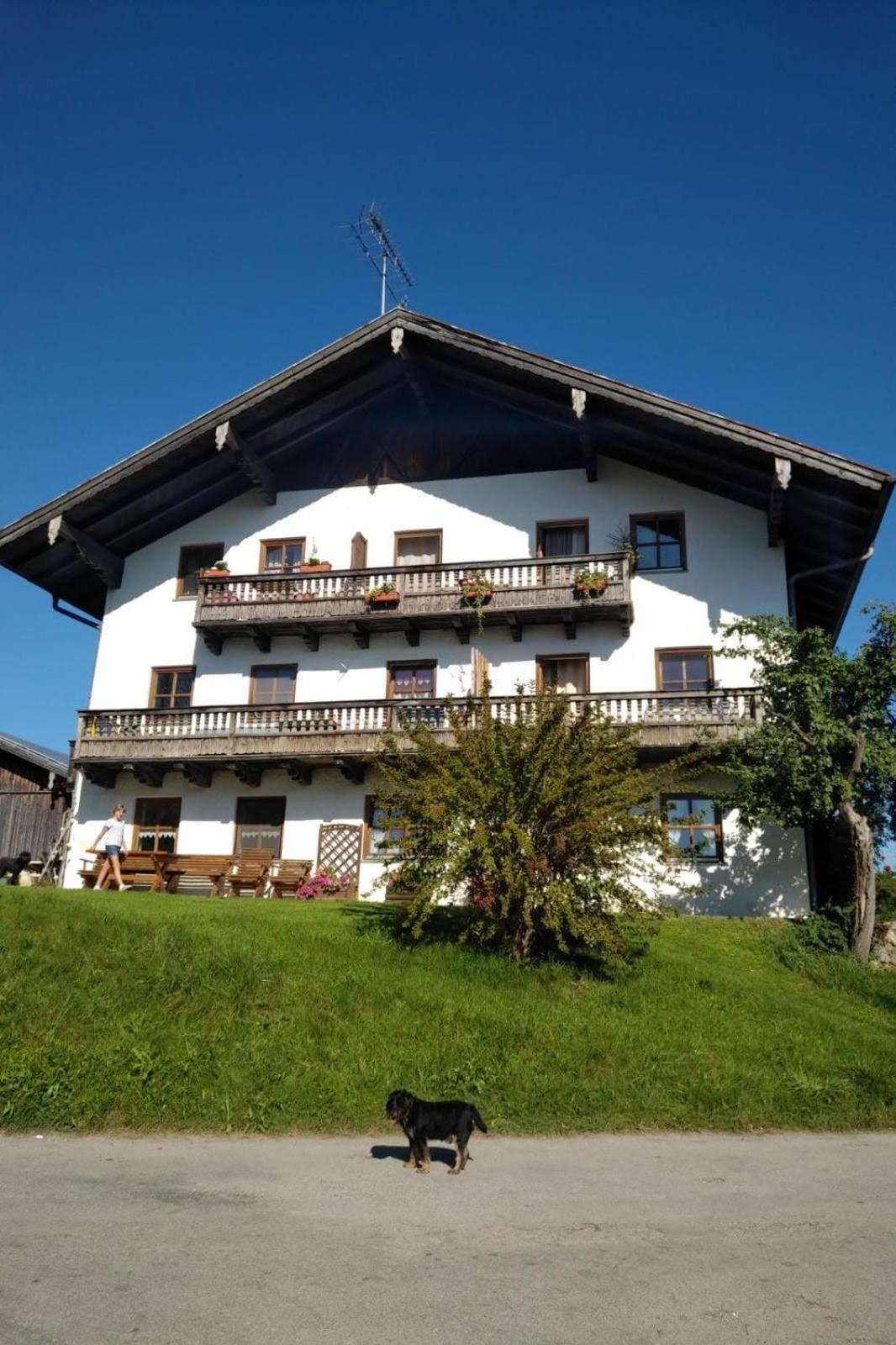 Der Blankhof "Back to Roots" view 4