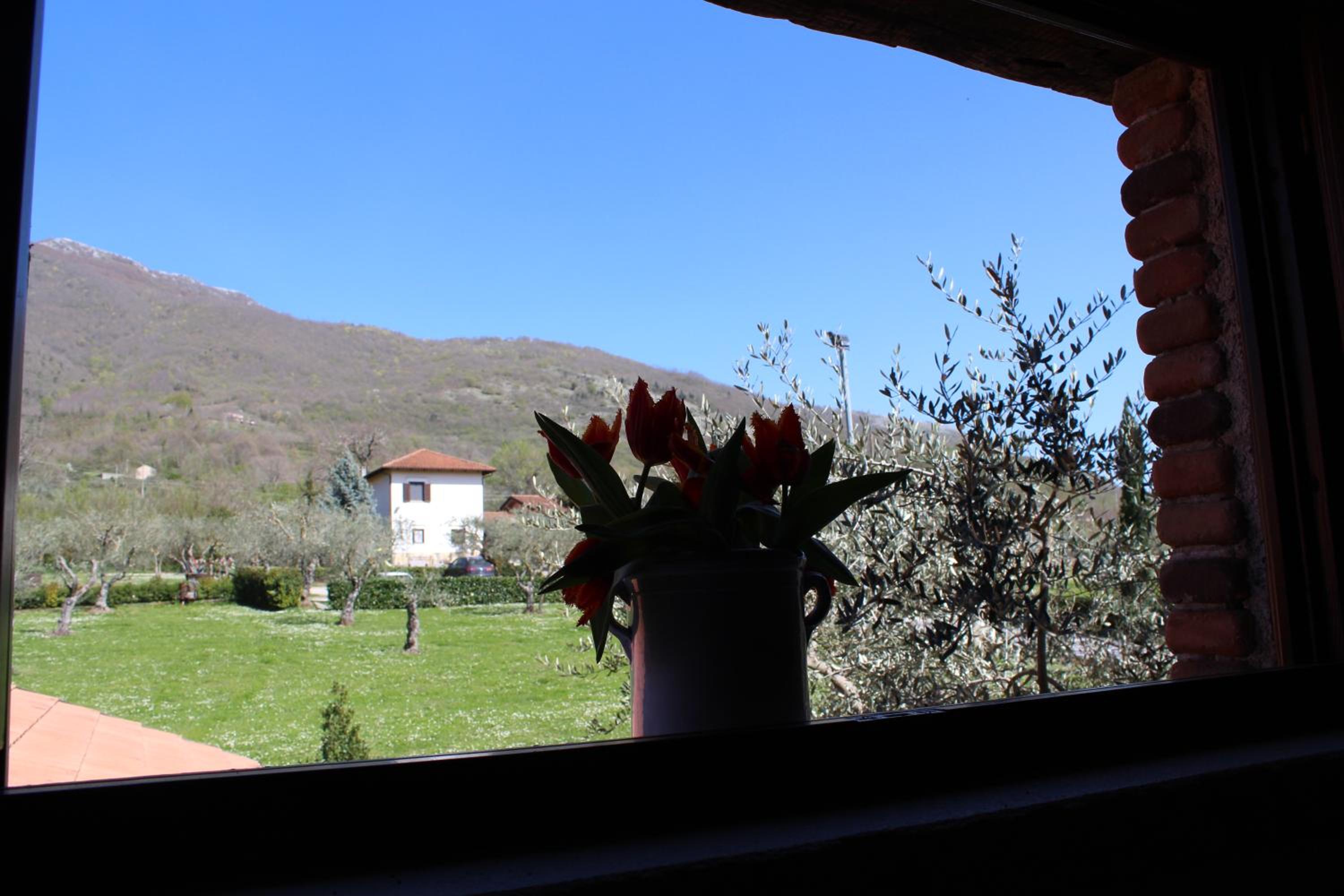 Photo 13
