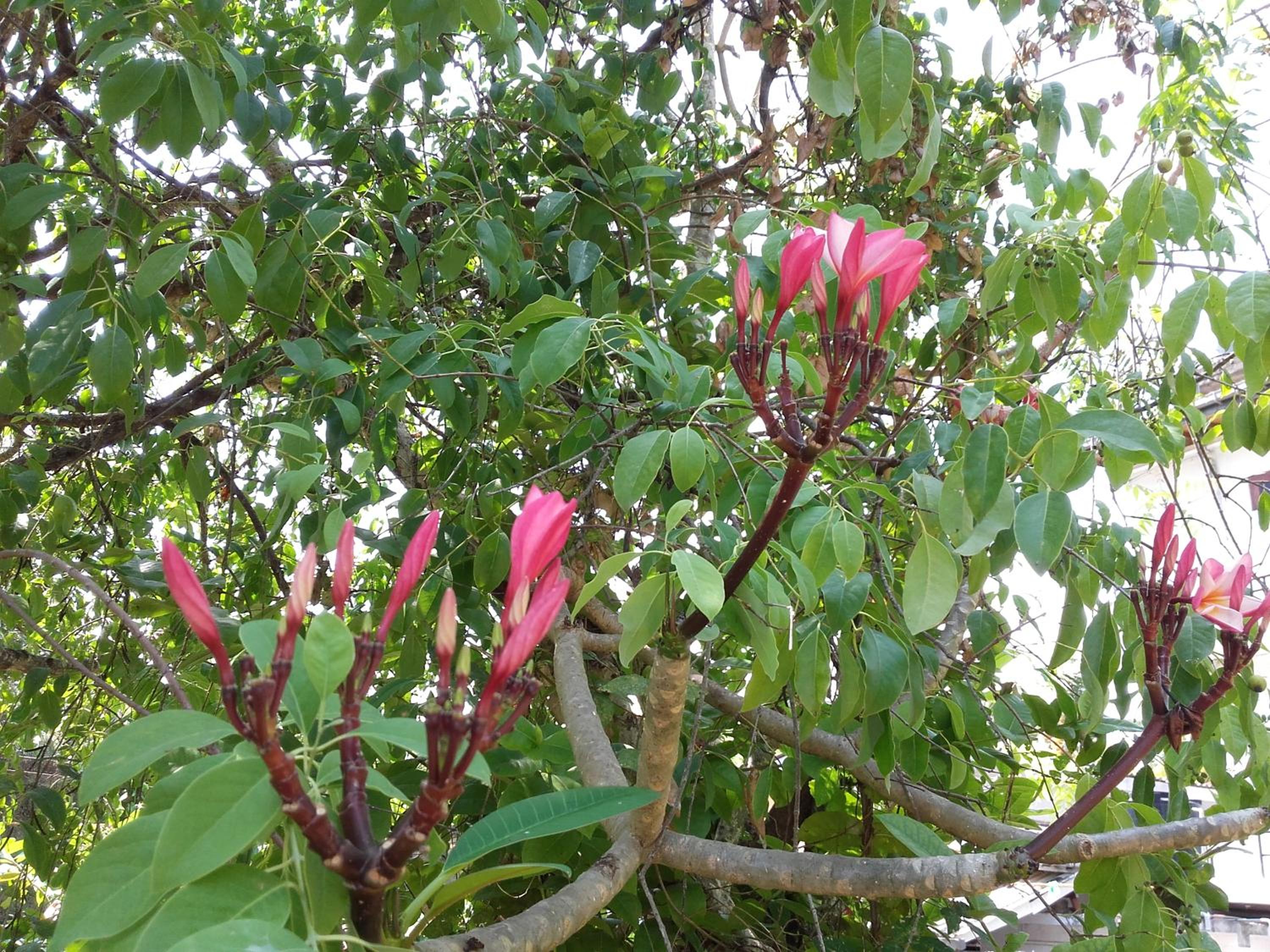 Photo 40