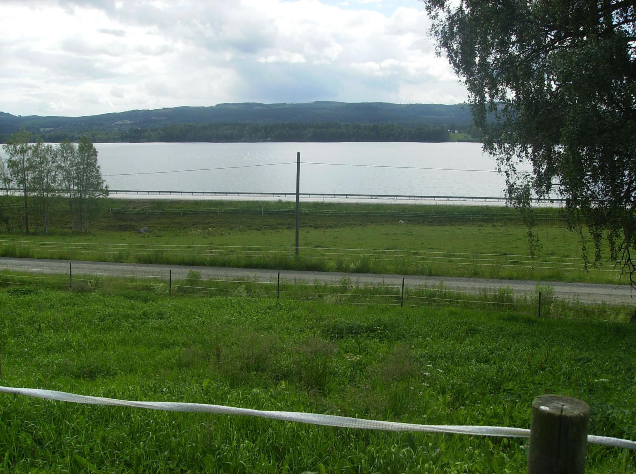 Photo 40