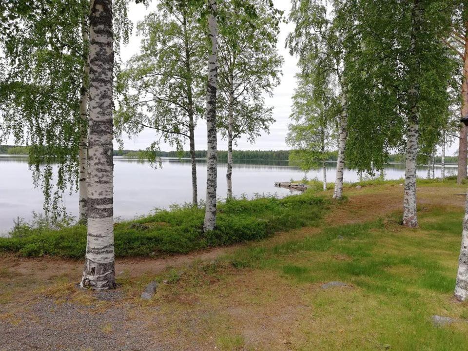 Photo 28
