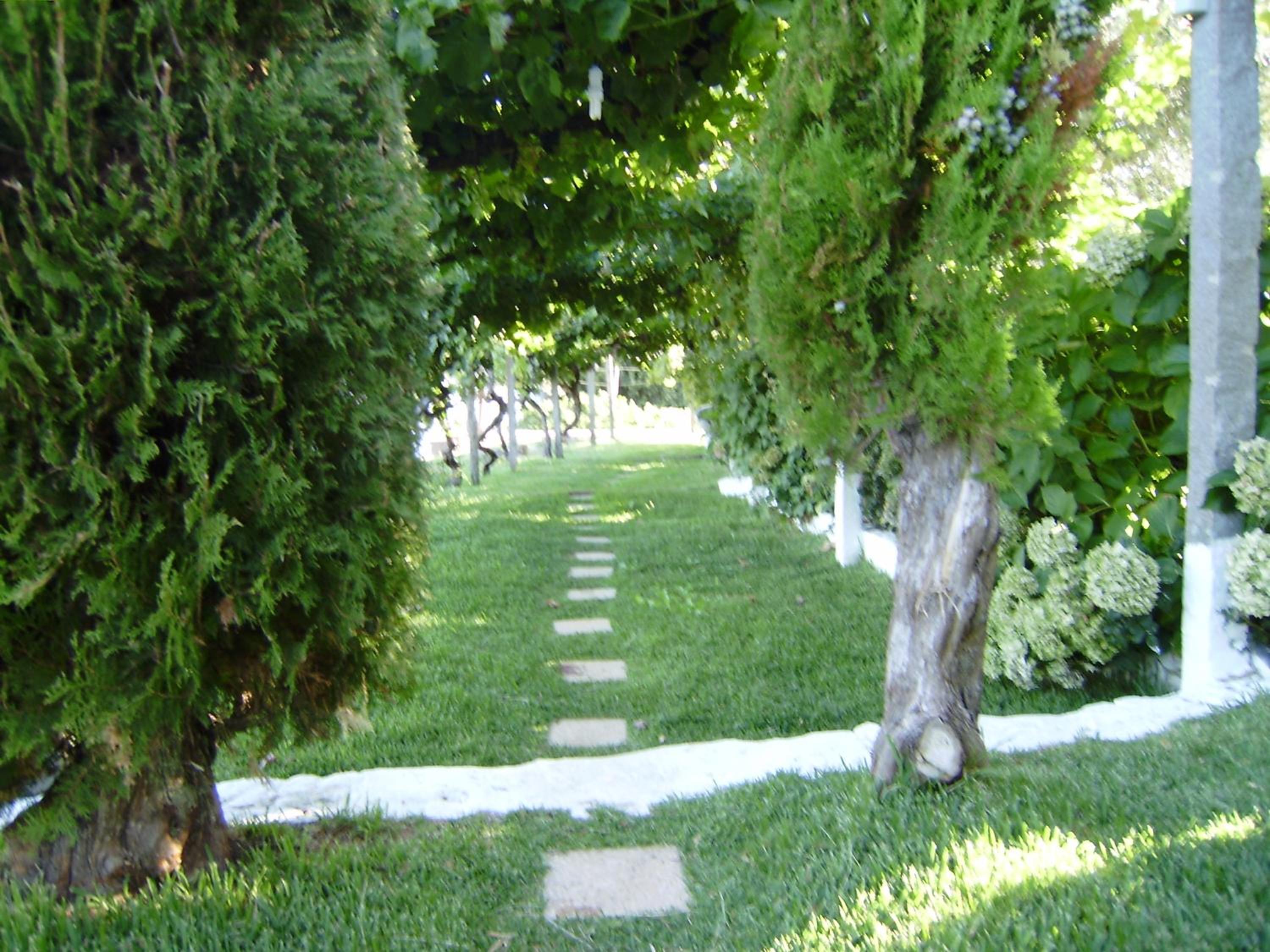 Photo 28
