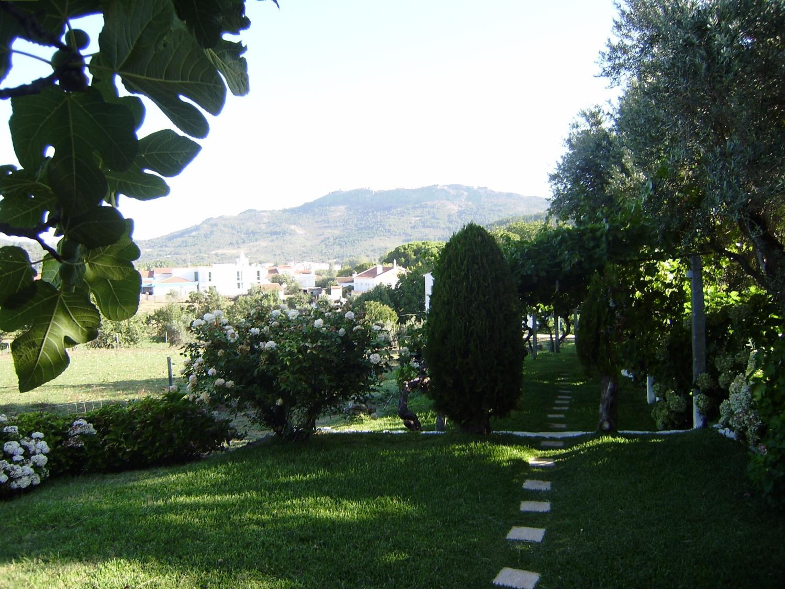 Turimenha view 2