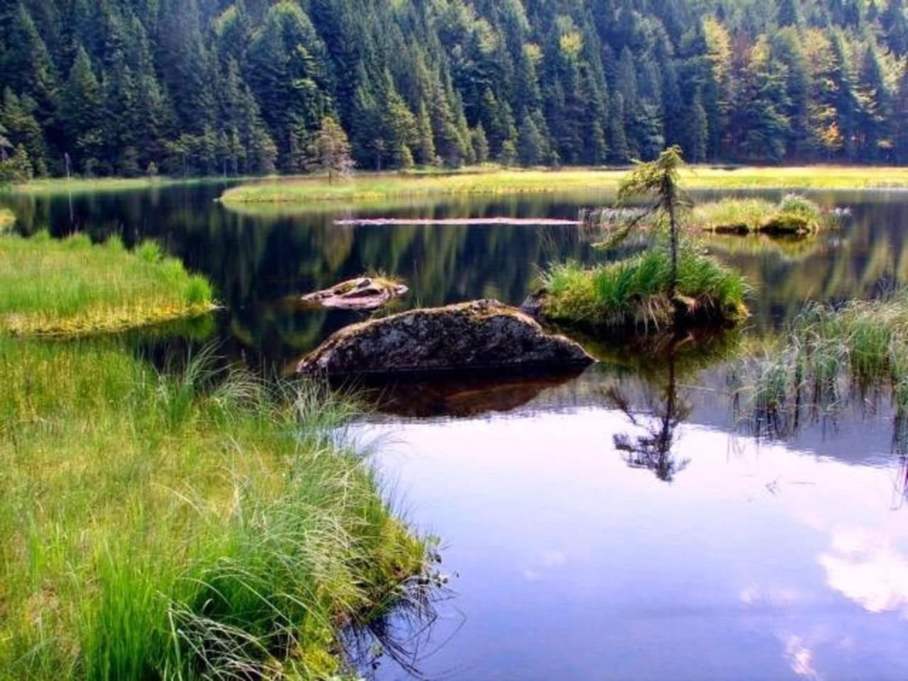 Photo 24