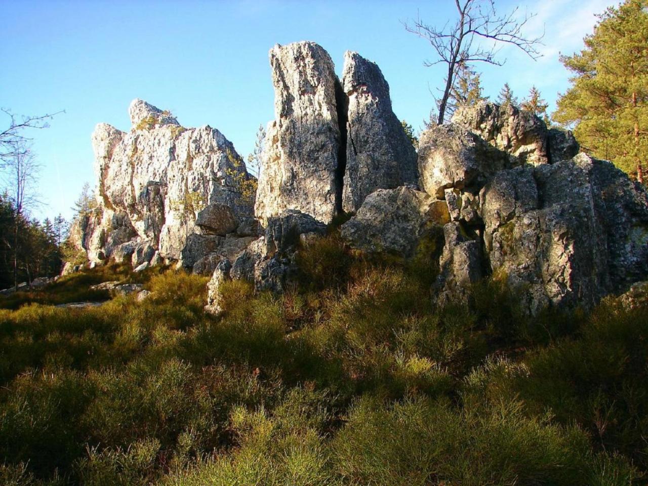 Photo 23