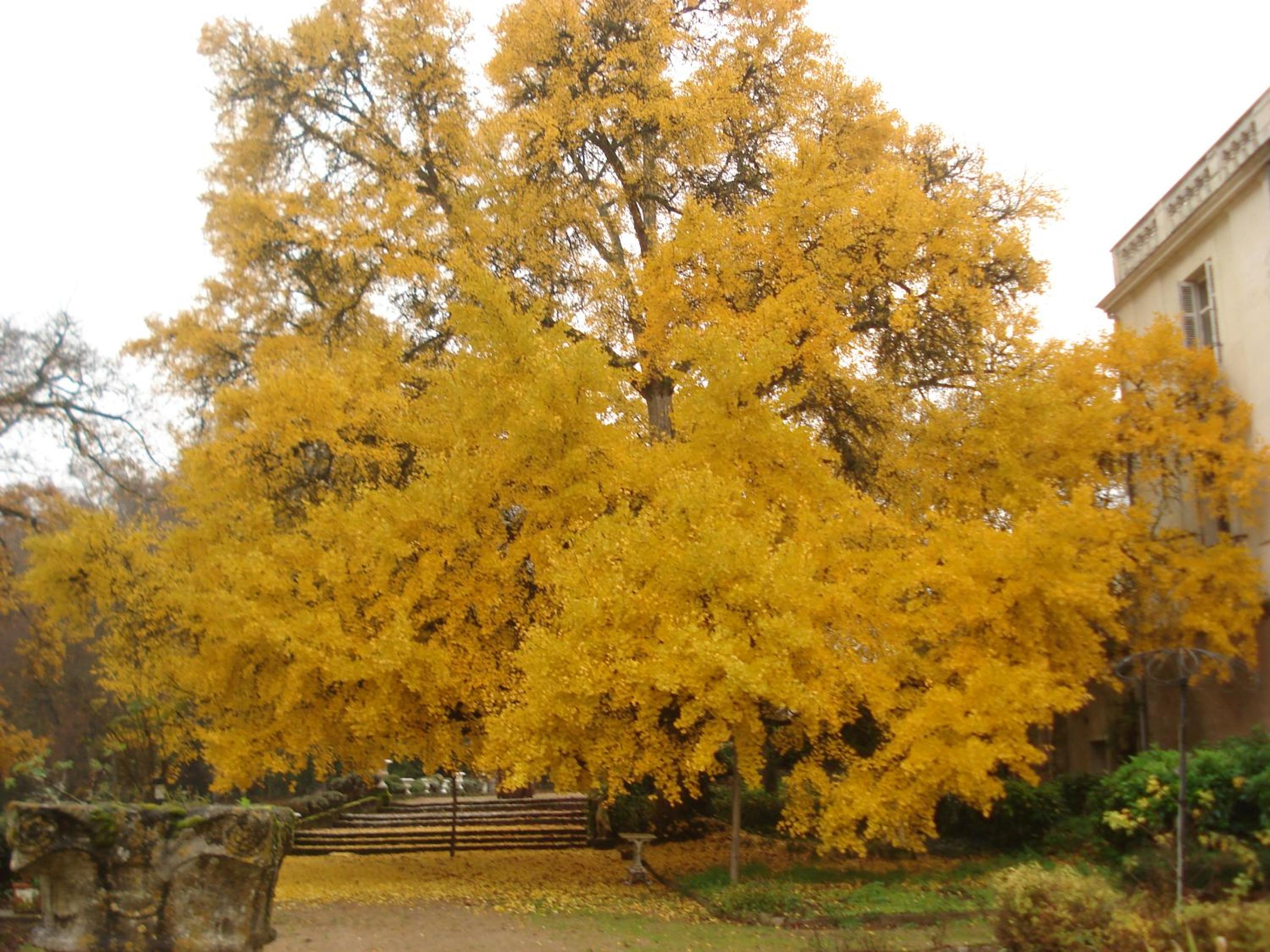 Photo 34
