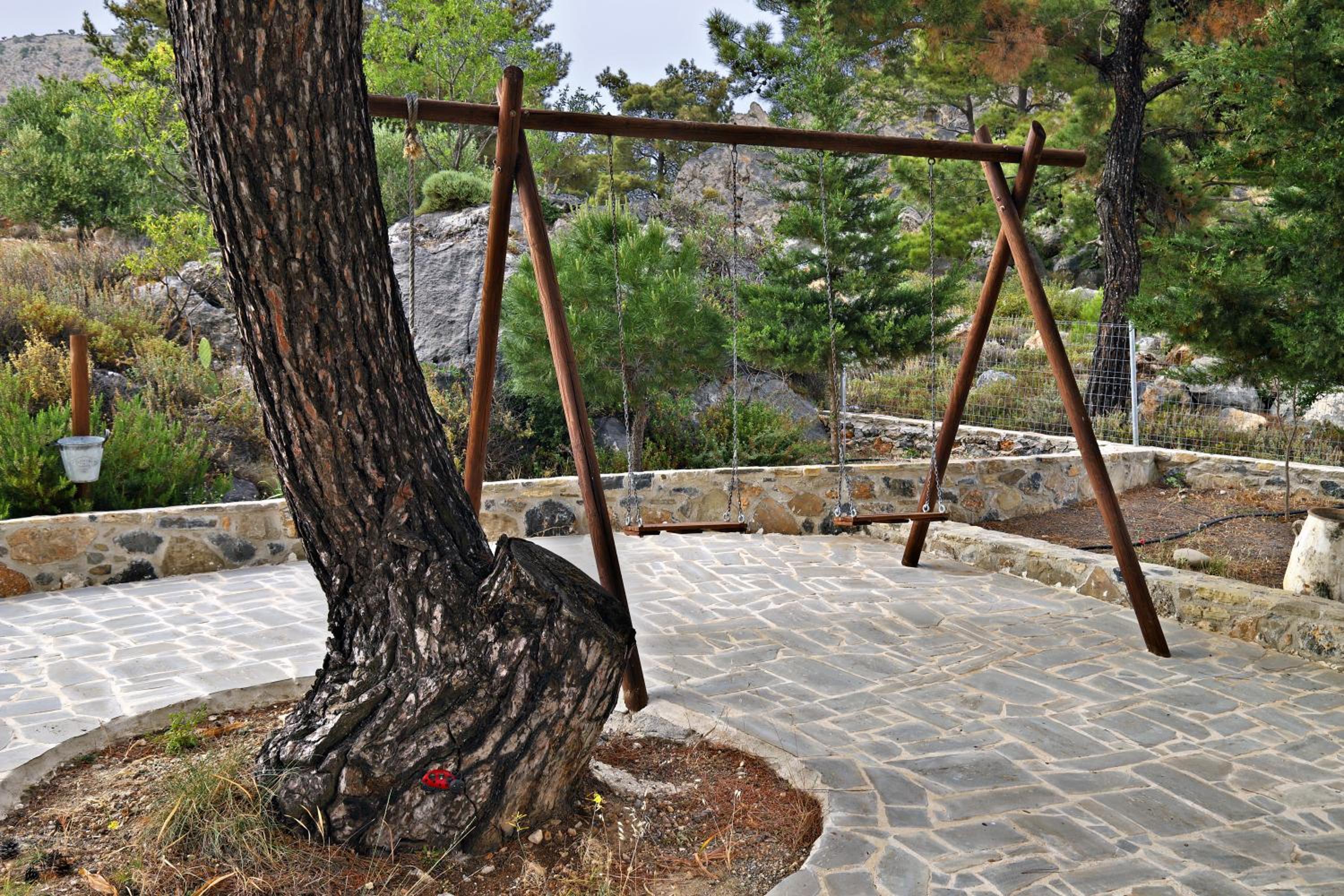 Photo 12