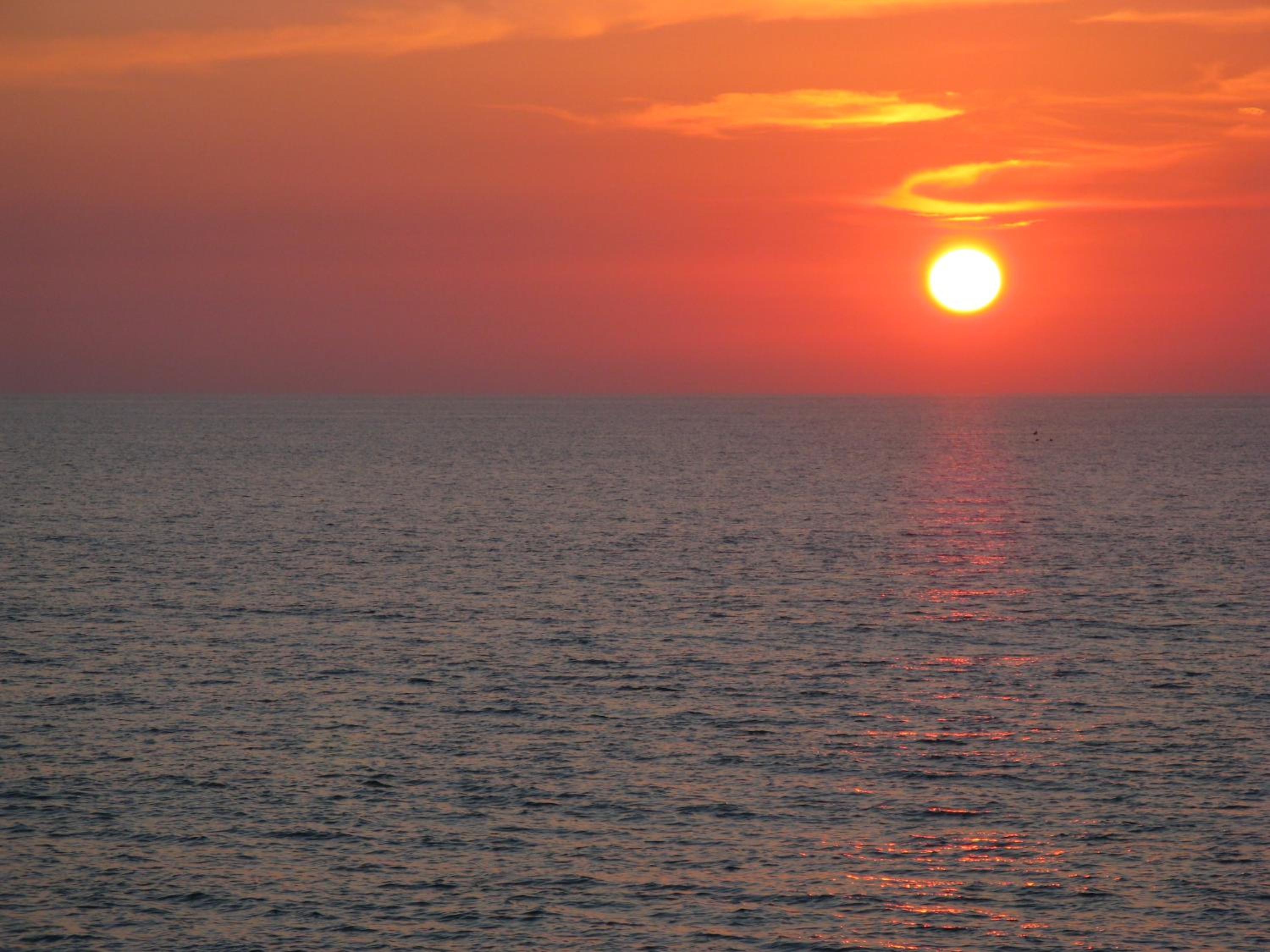 Photo 47