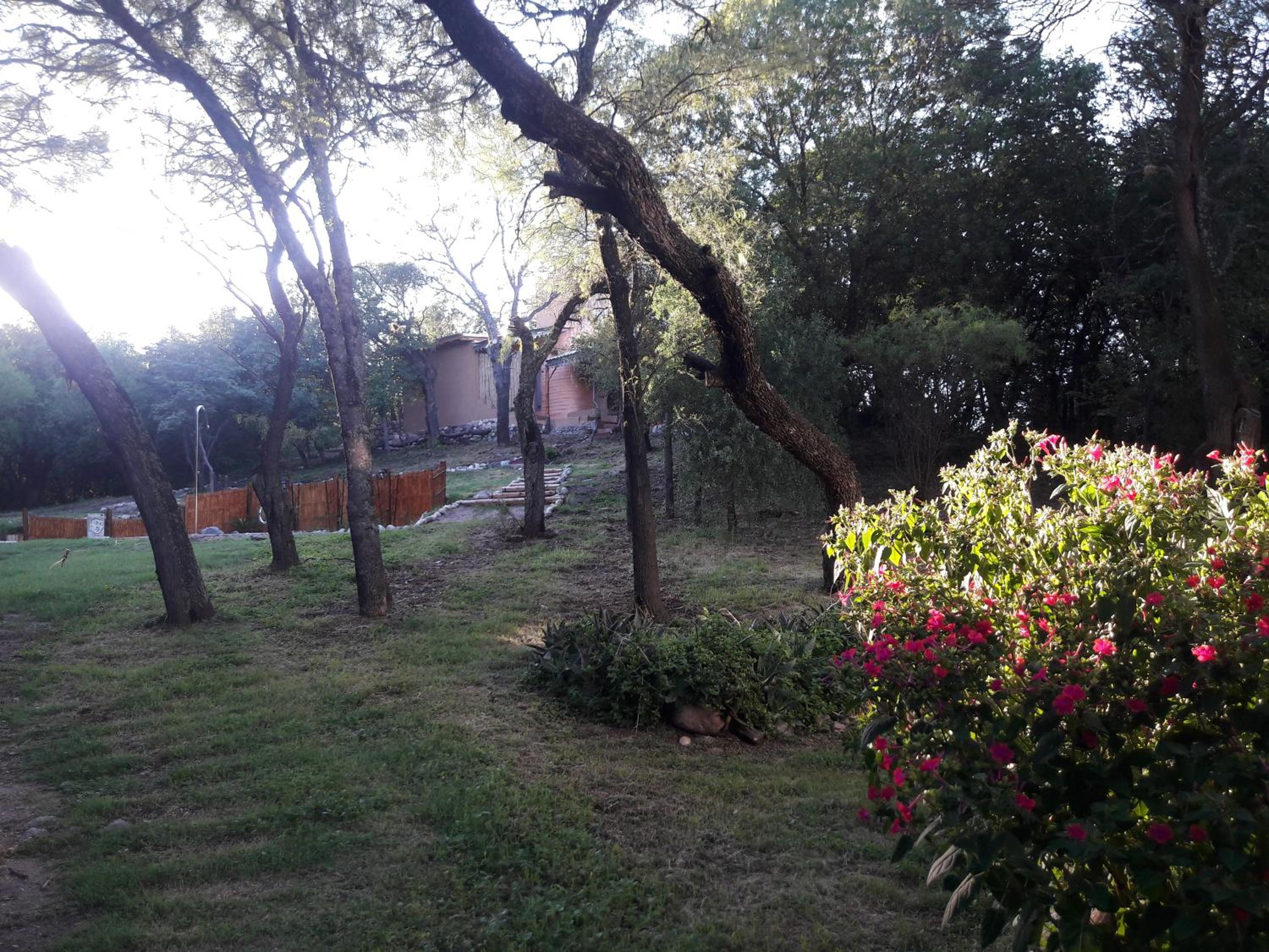 Balaramapuri Eco Veggie Hostel