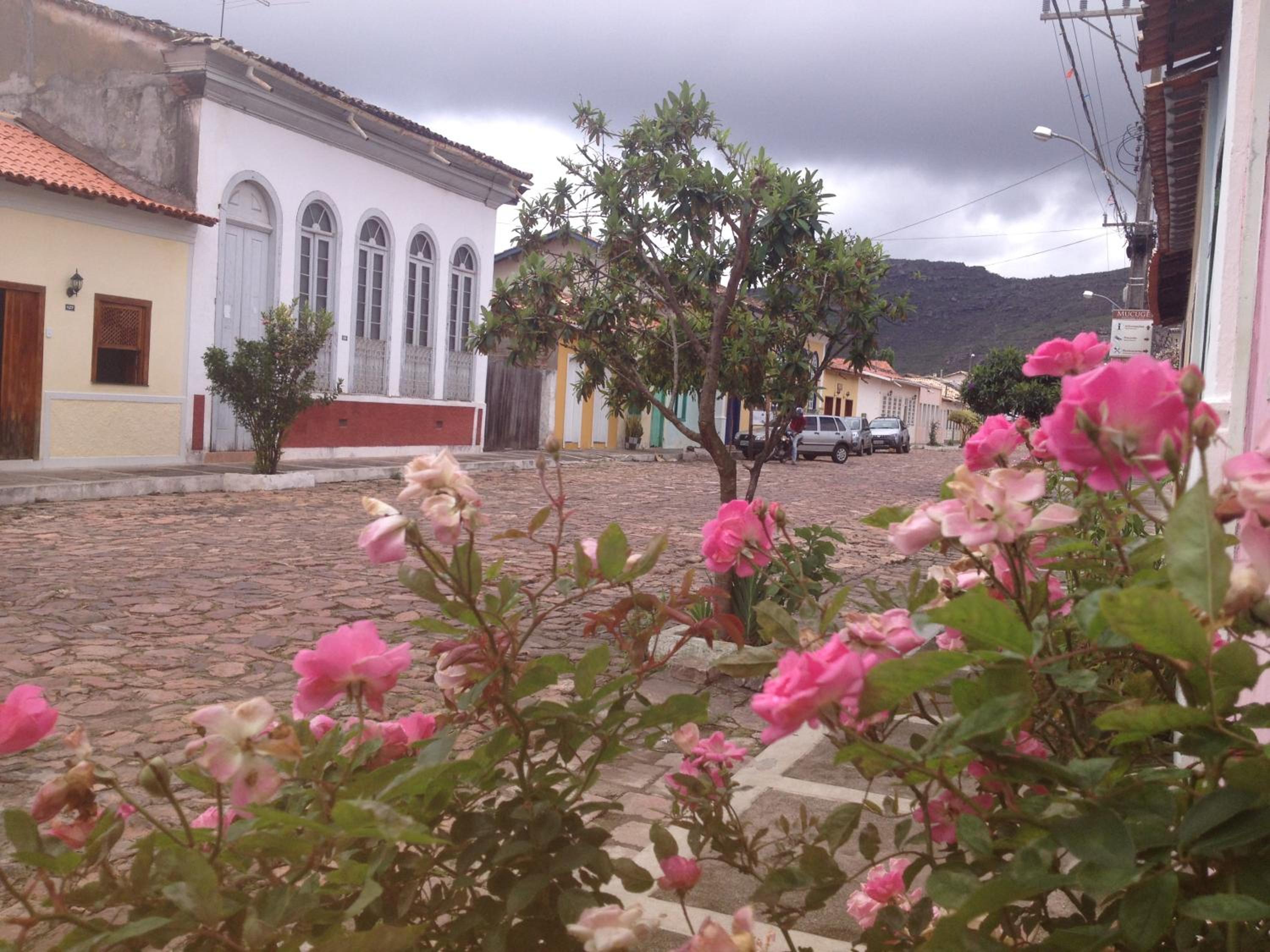 Photo 41