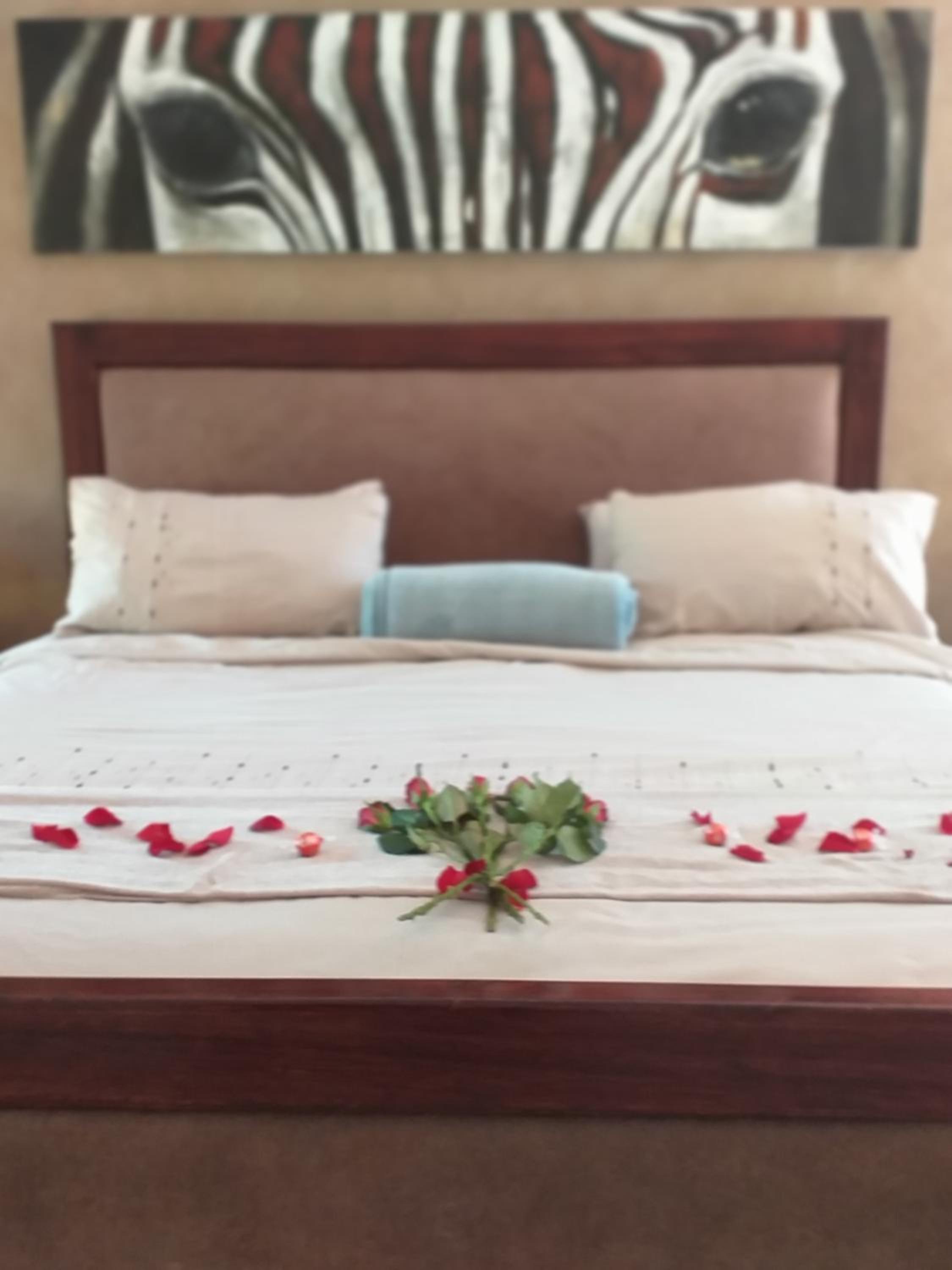 Matusadona Guest Lodge