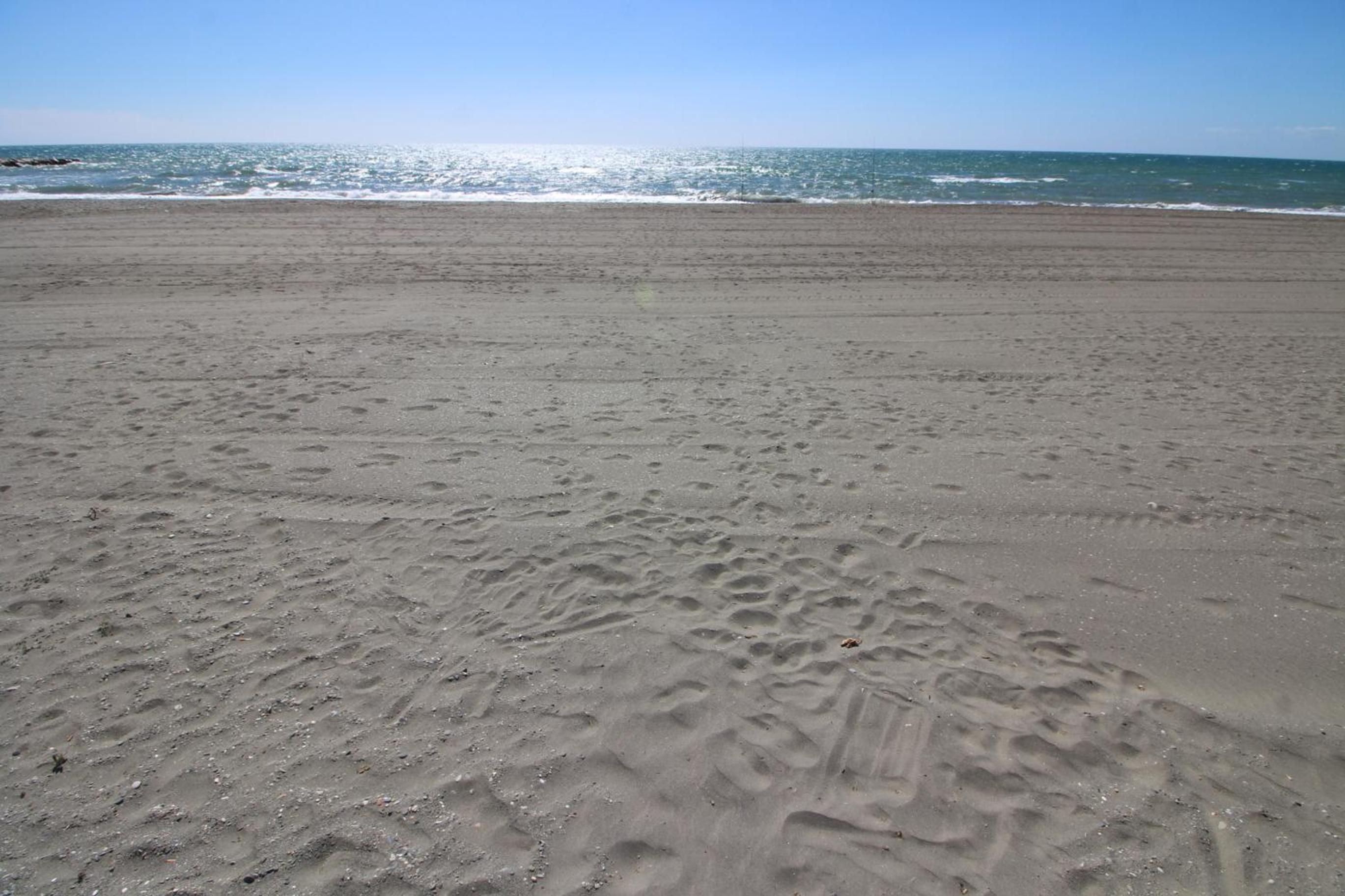 Photo 45