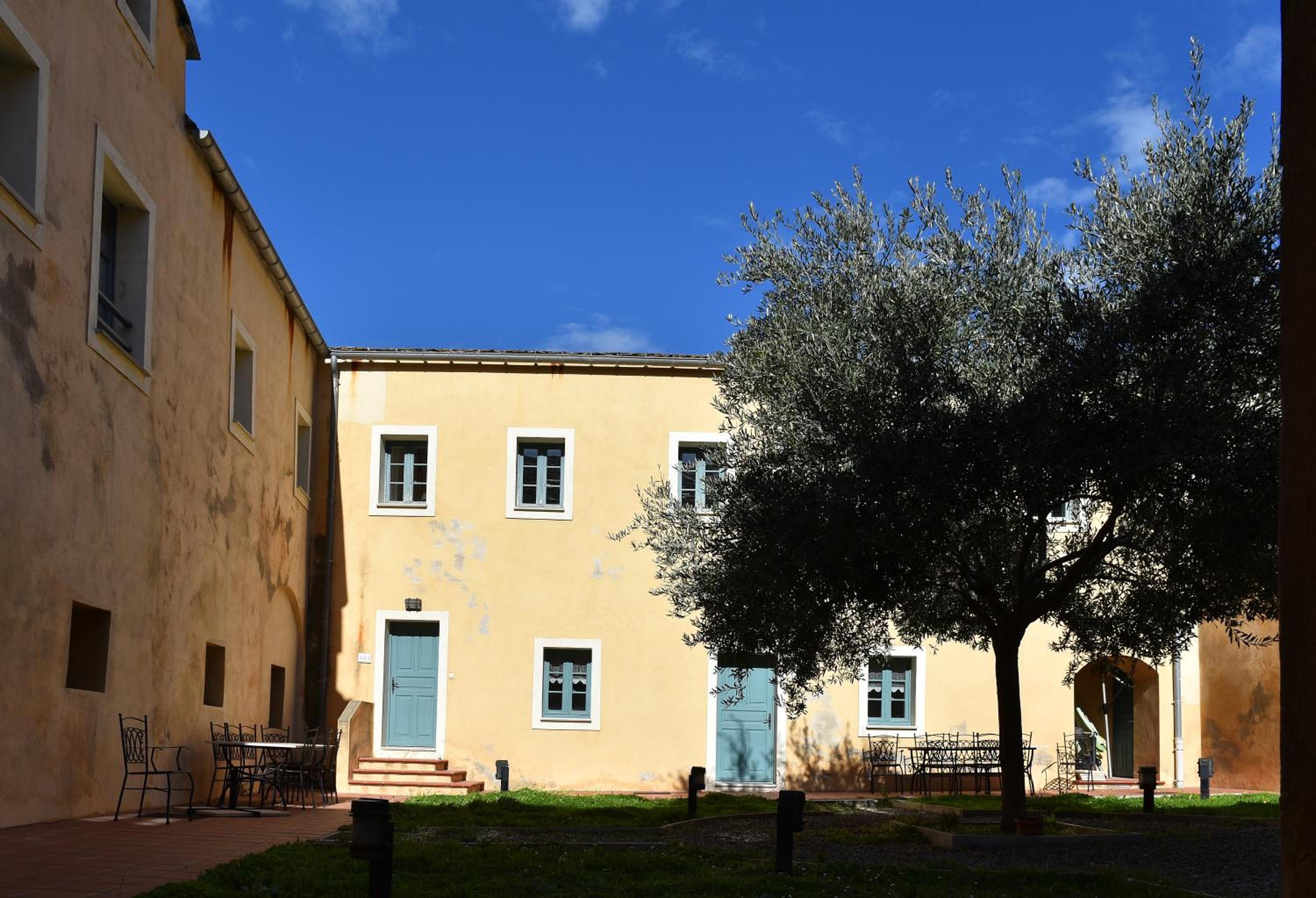 Photo 6