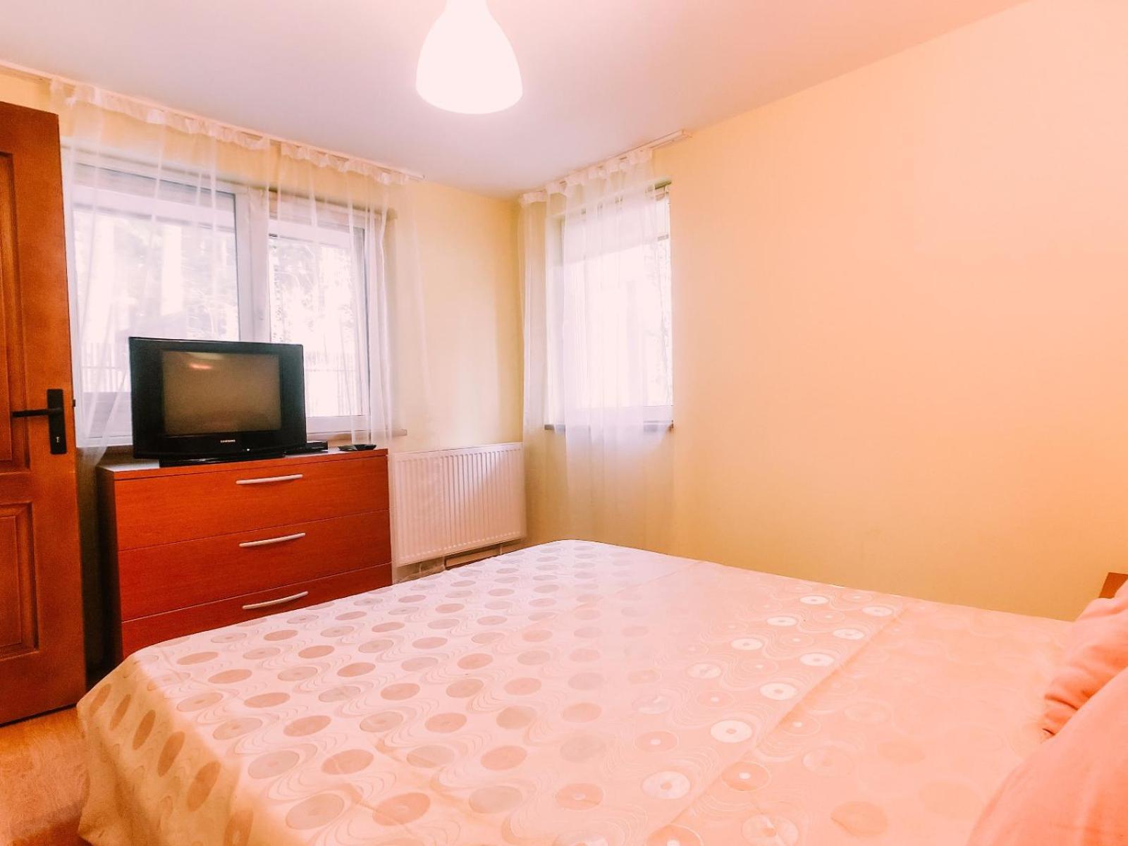 Spacious Apartment near Peles