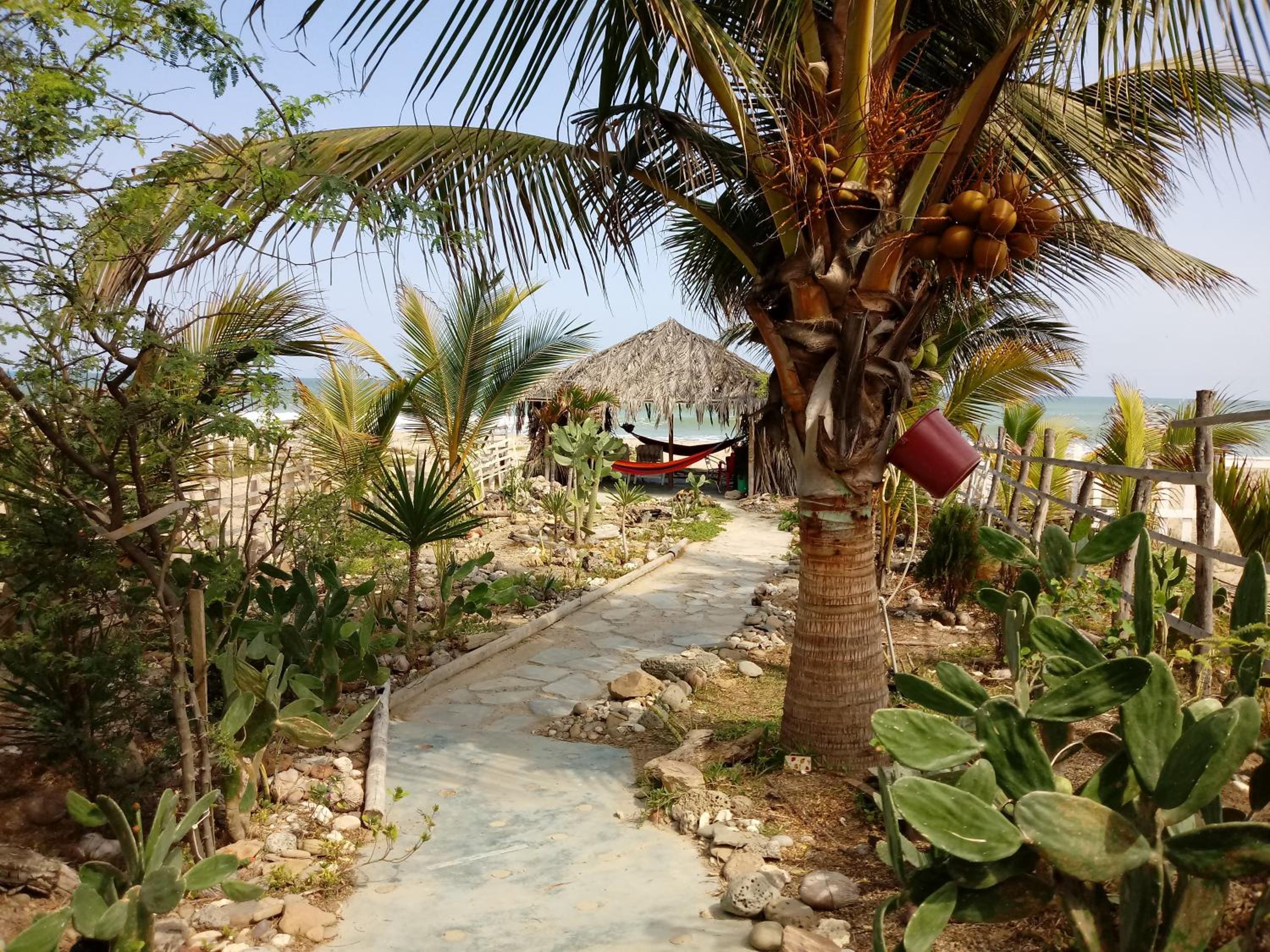 Los Pinos de Zorritos Condominio, photo 23