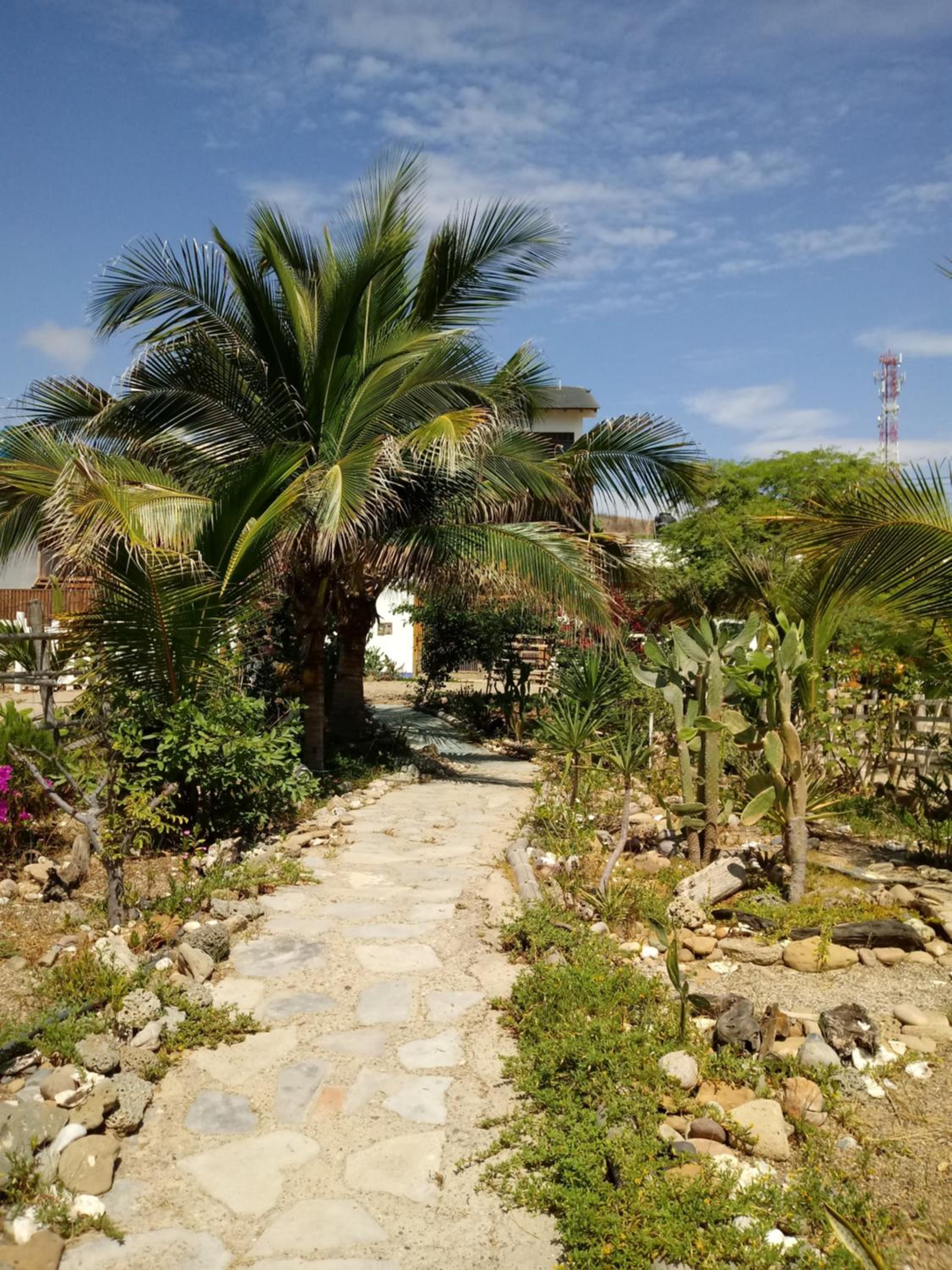 Los Pinos de Zorritos Condominio, photo 16