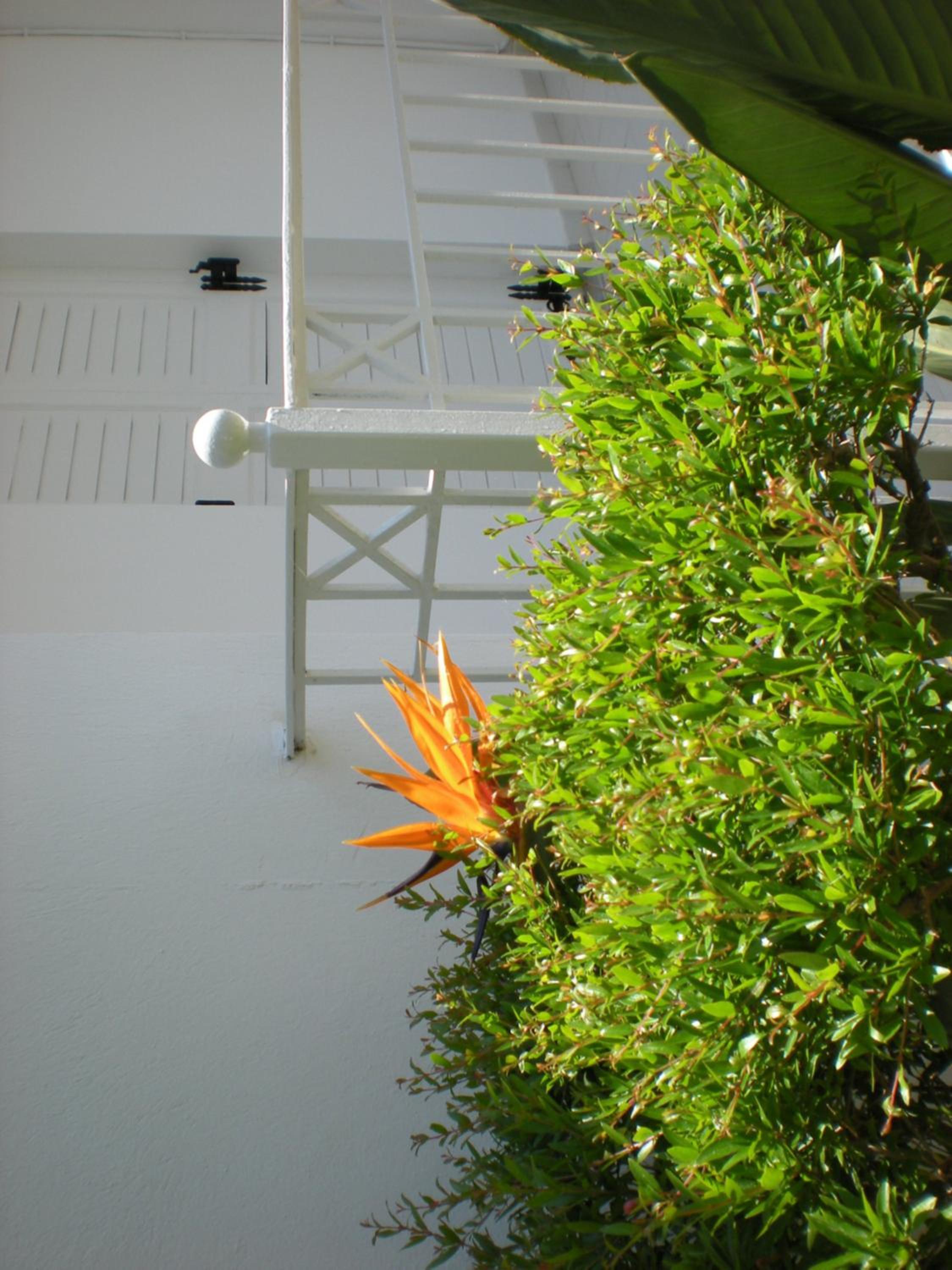 Hotel Manolis' House - Image 1