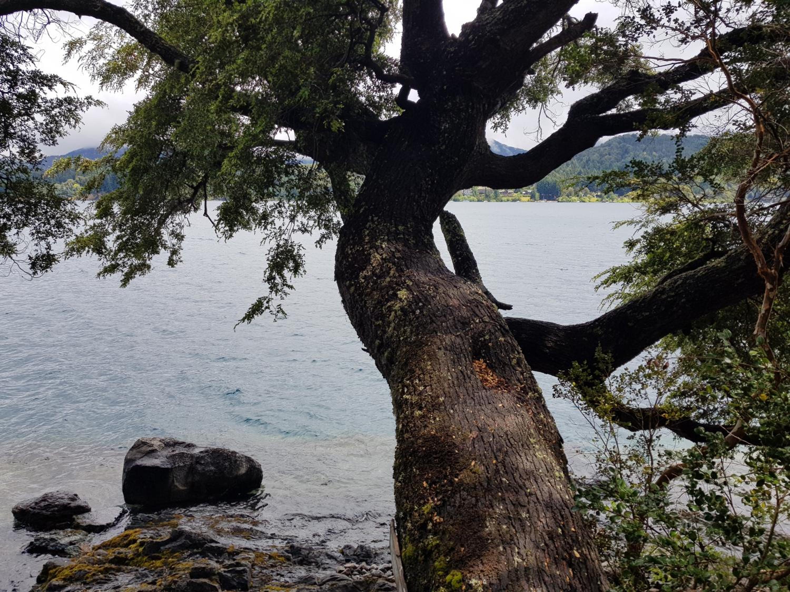 Albanta casa con costa en Bariloche