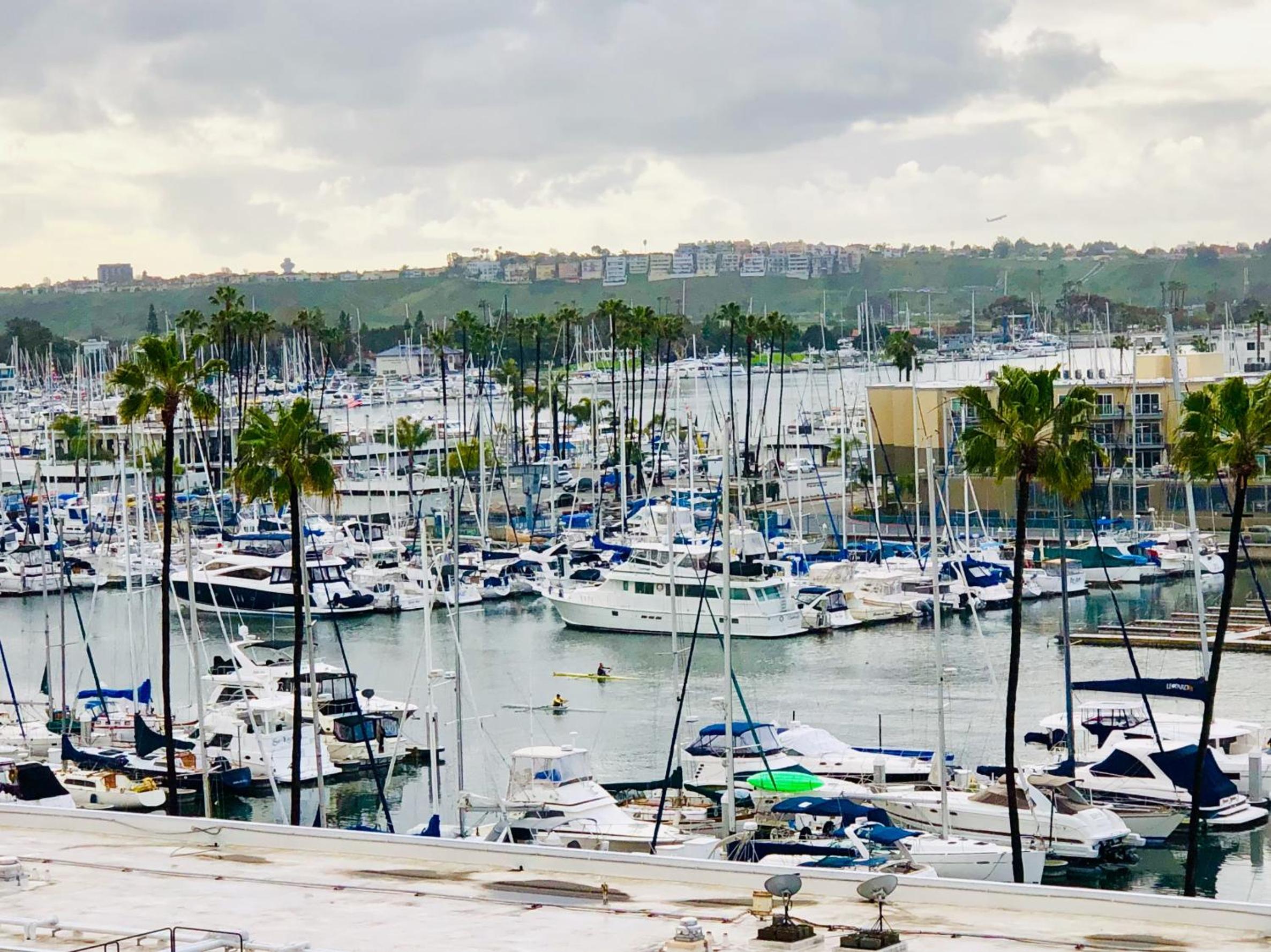 Fantastic Marina View in Front of My Window!