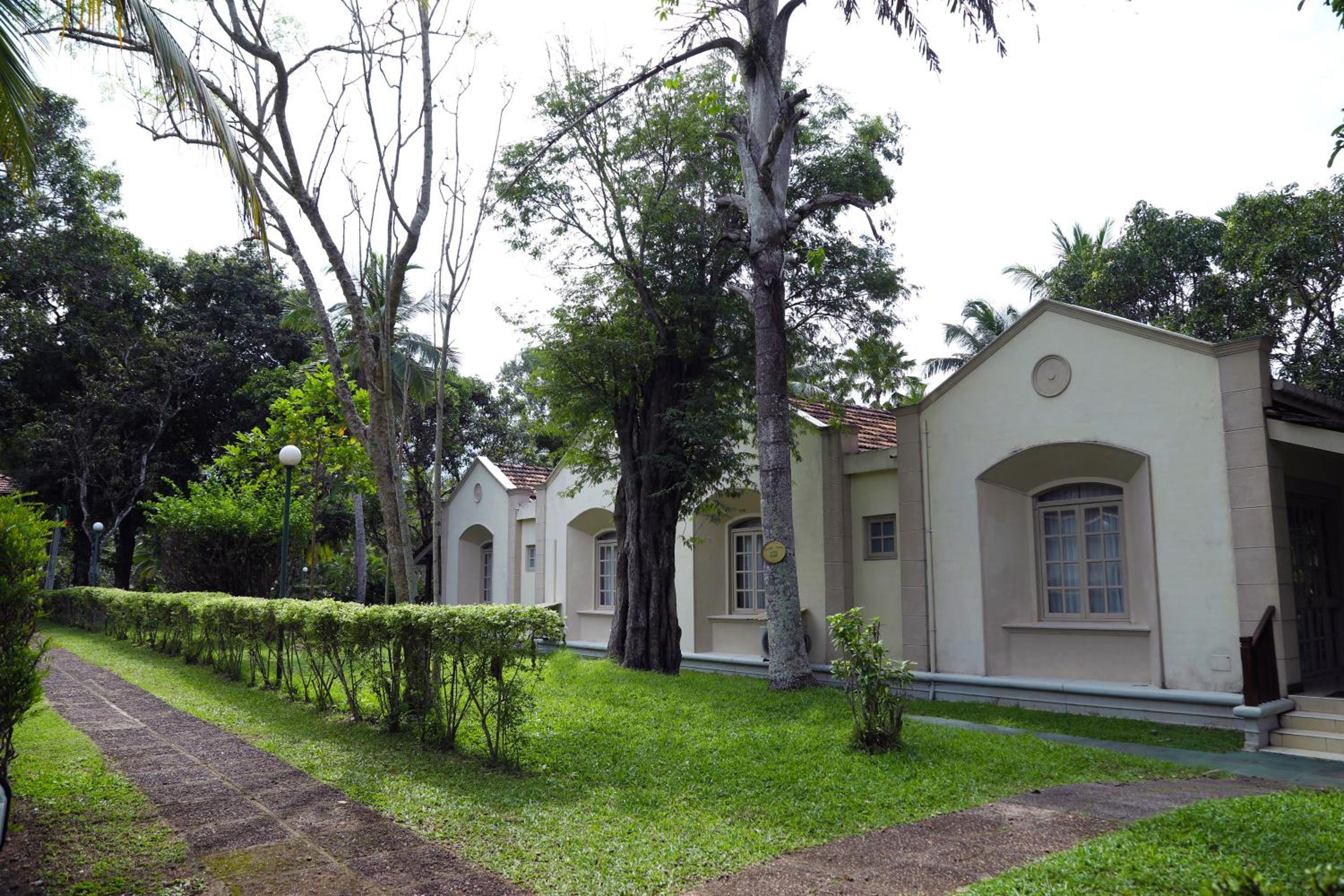 Photo 25