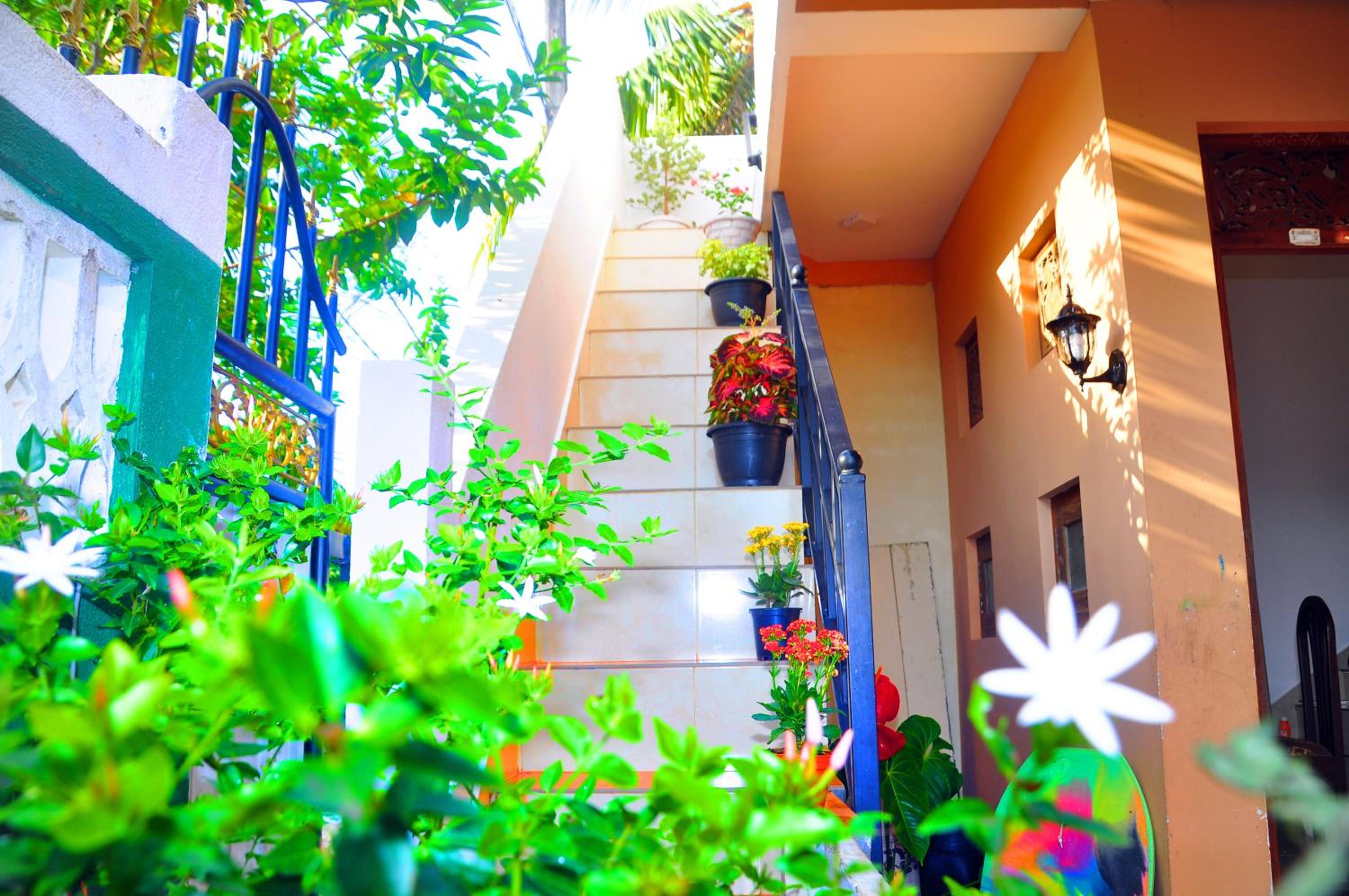 Senero House