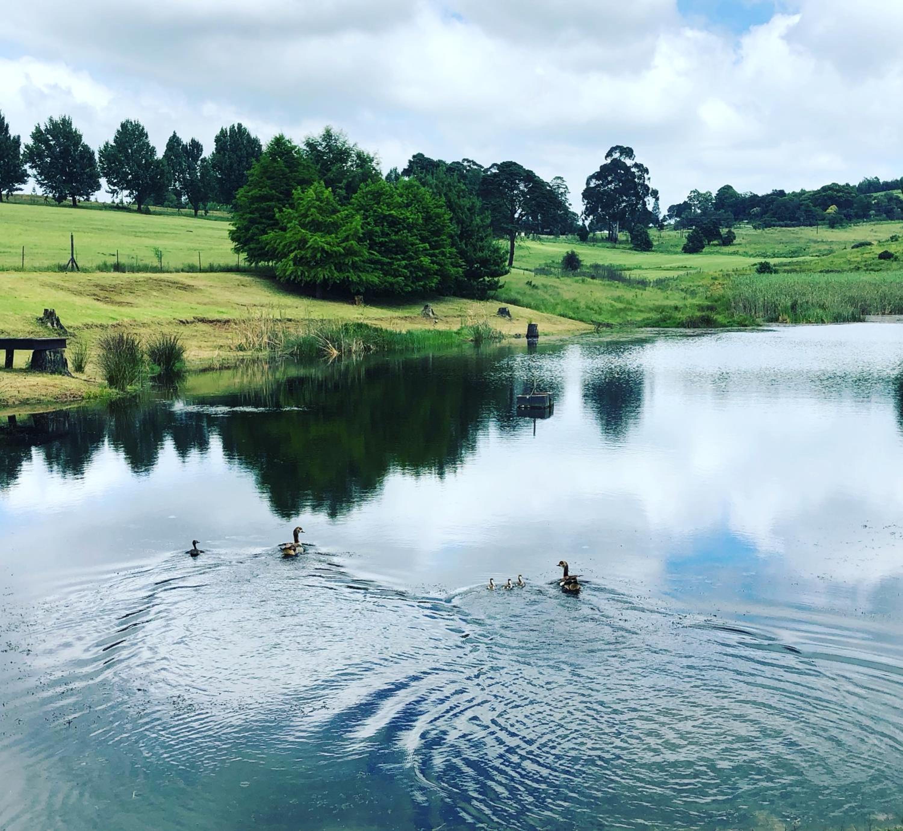 St Ives Midlands